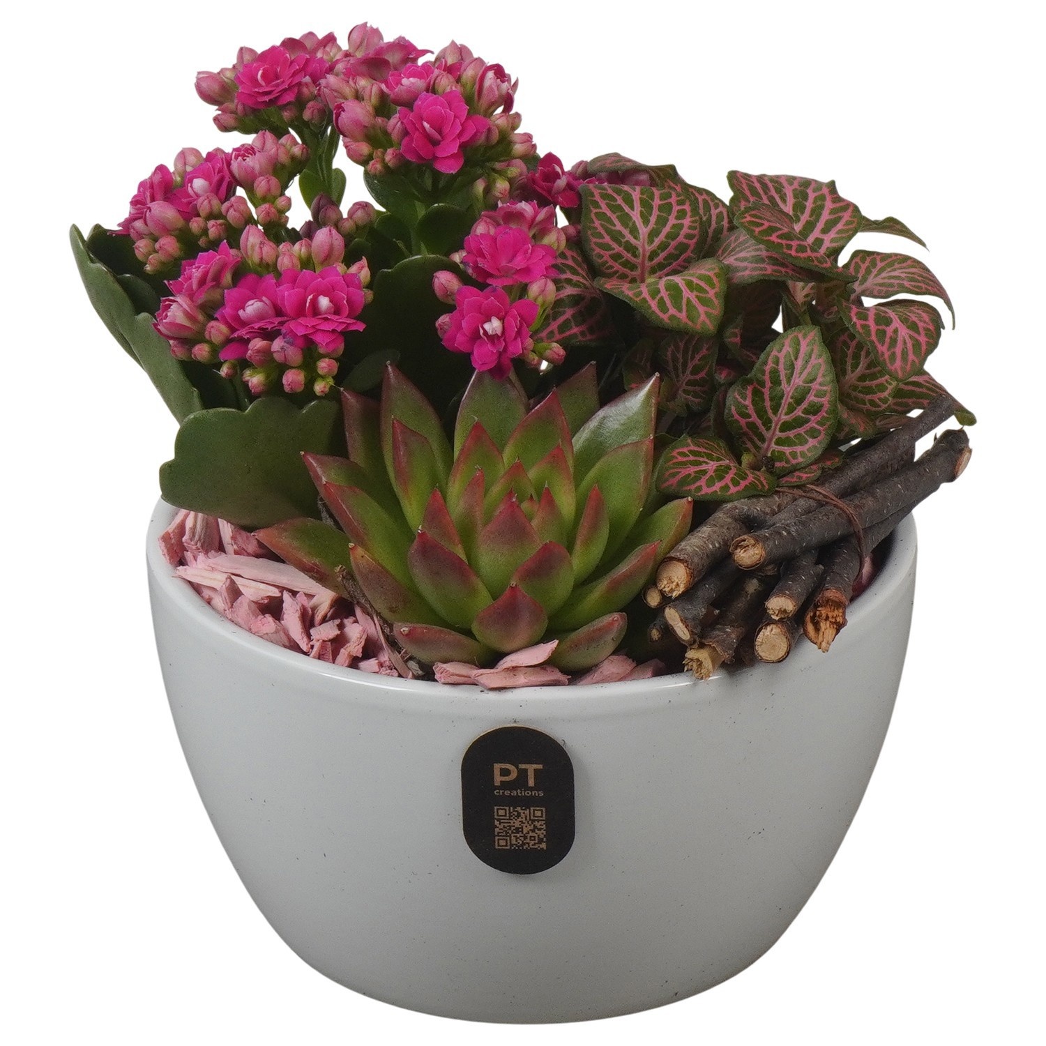 PTIB5150 Arrangement Indoor in keramiek schaal, D 14