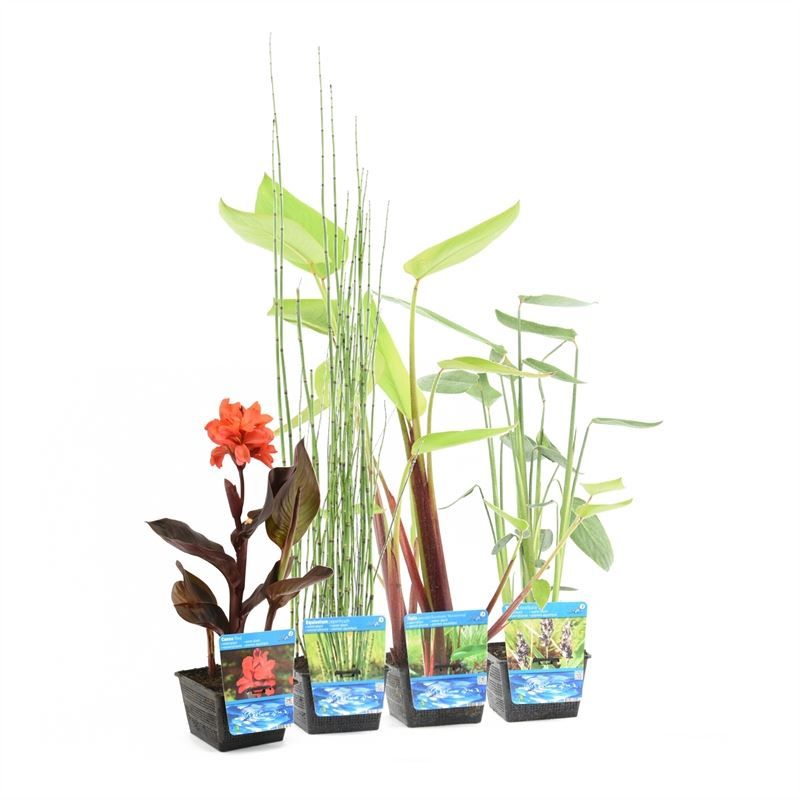 P18 waterpl exclusie per laag (7x3), D 18