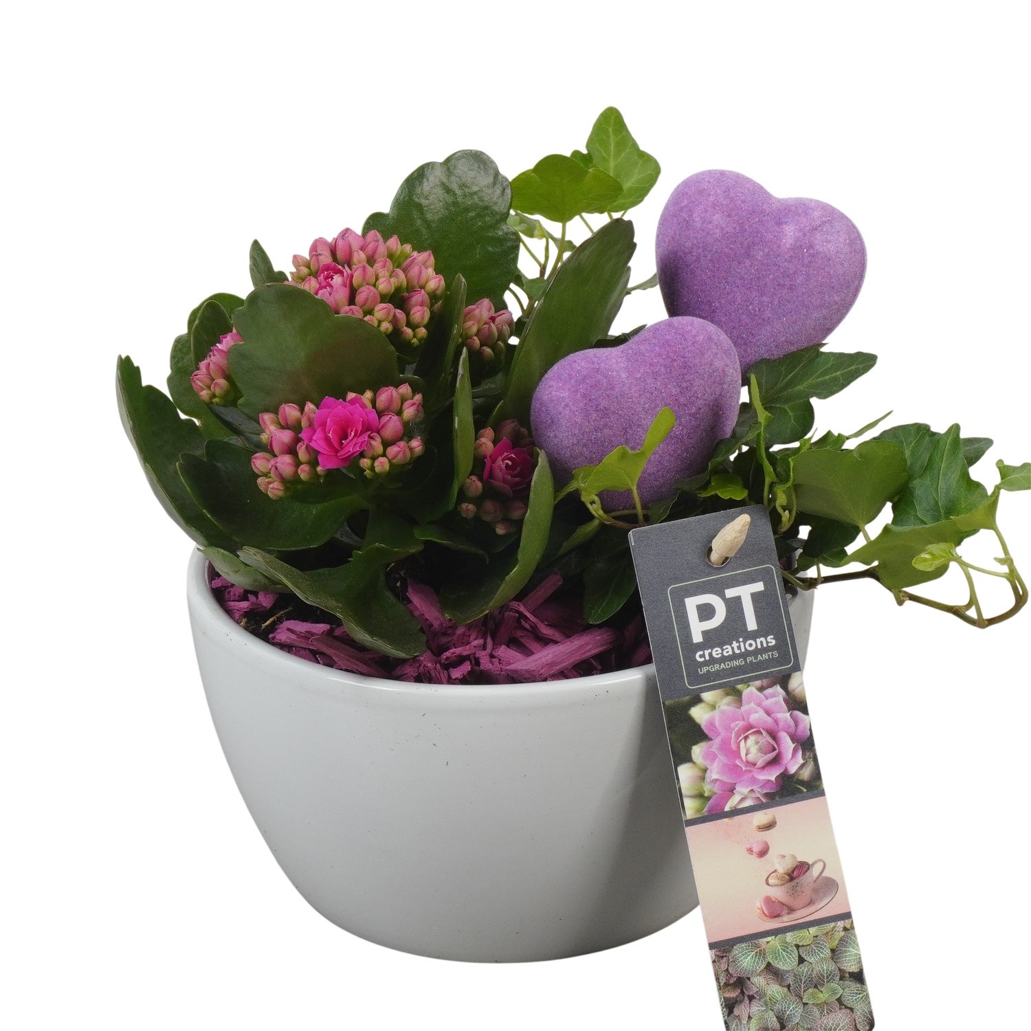 PTVMB2219 Arrangement Valentines-Mothersday in keramiek schaal, D 14