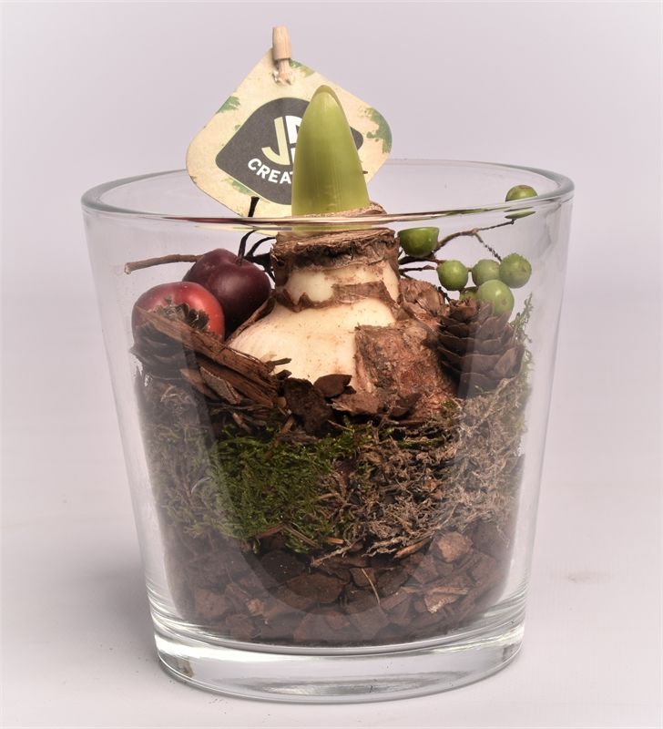 Glas potje 13 cm, D 12 cm