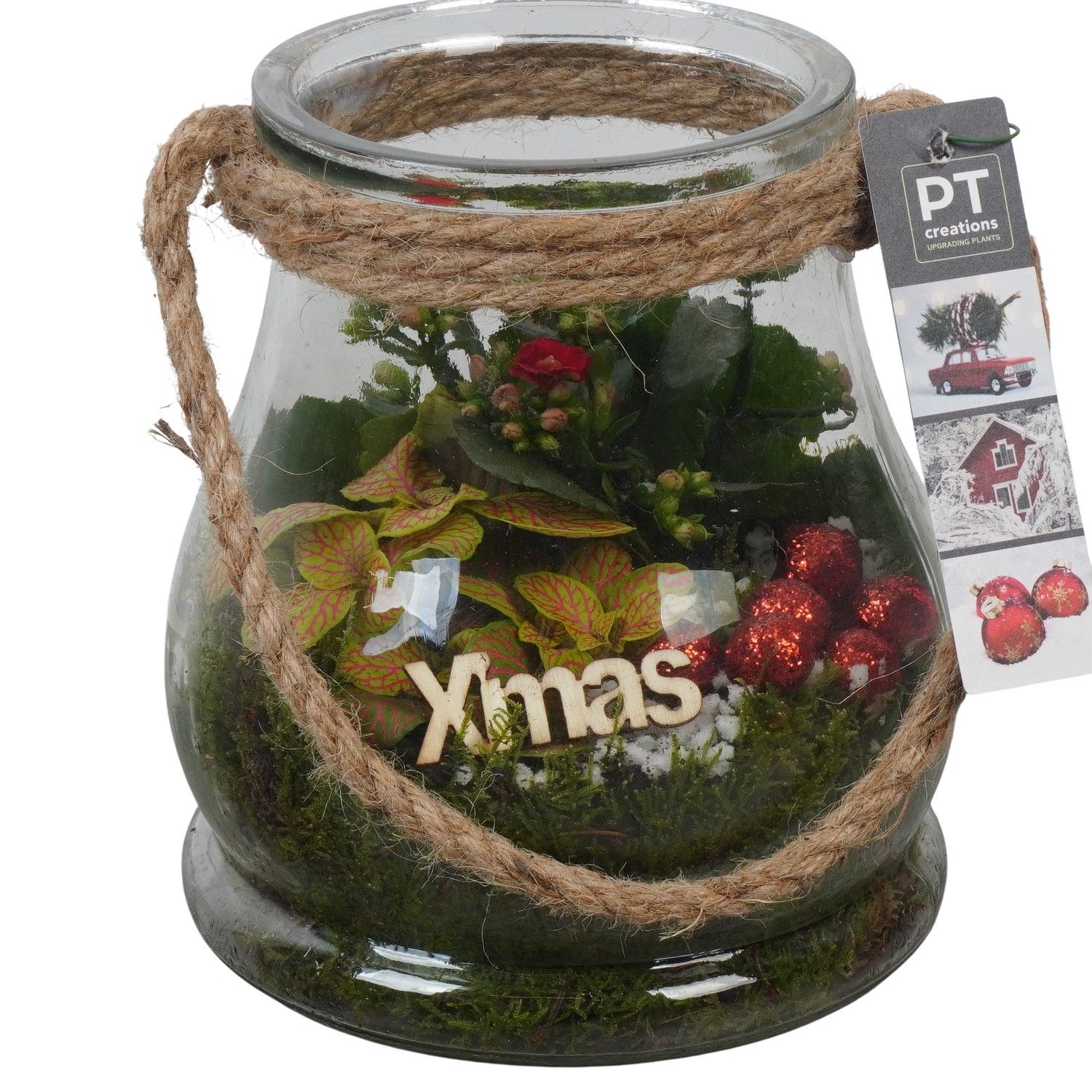 PTCHR7451 Arrangement Christmas Red in glazen pot, D 16 cm