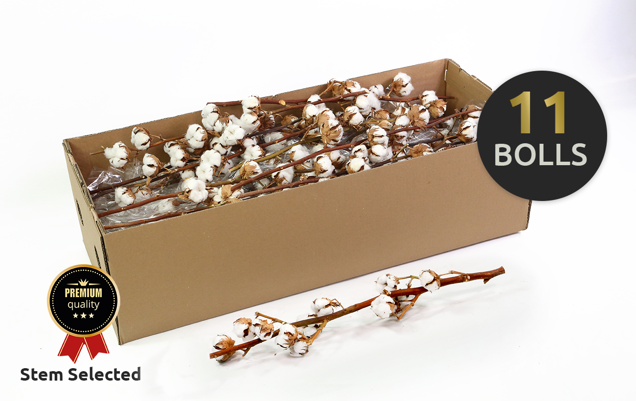 Хлопок Вайт 70, шт.