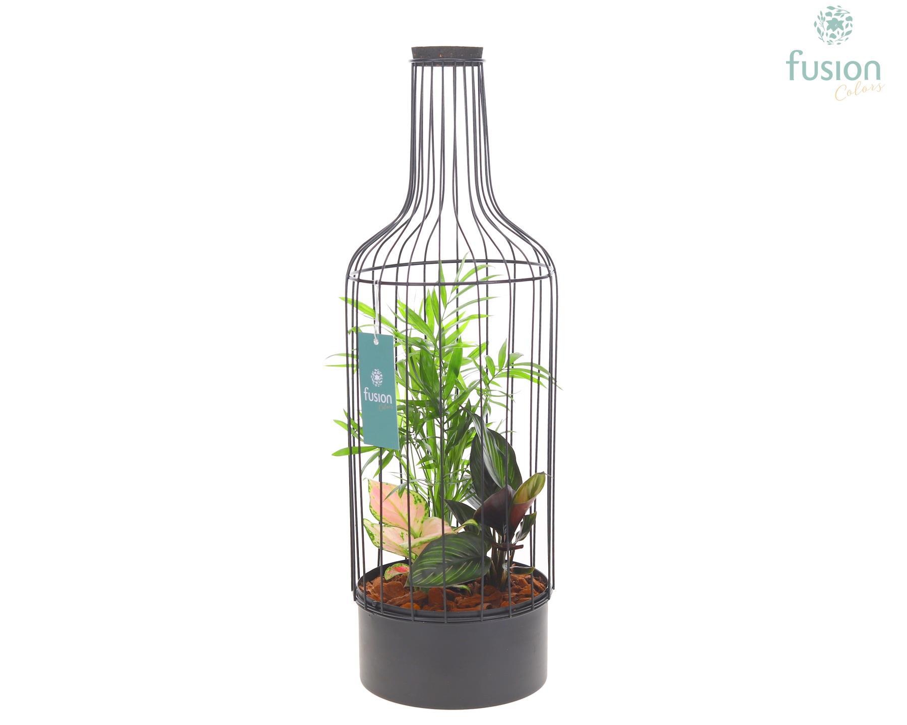 Metaal fles zwart Large met Trendy planten, D 17