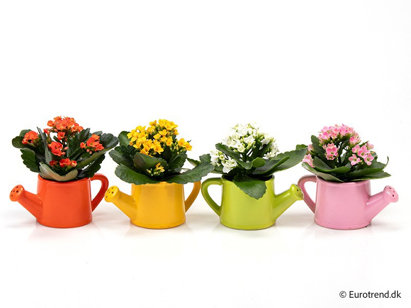 E 3146 Vandkande CERAMIC, D 6 cm