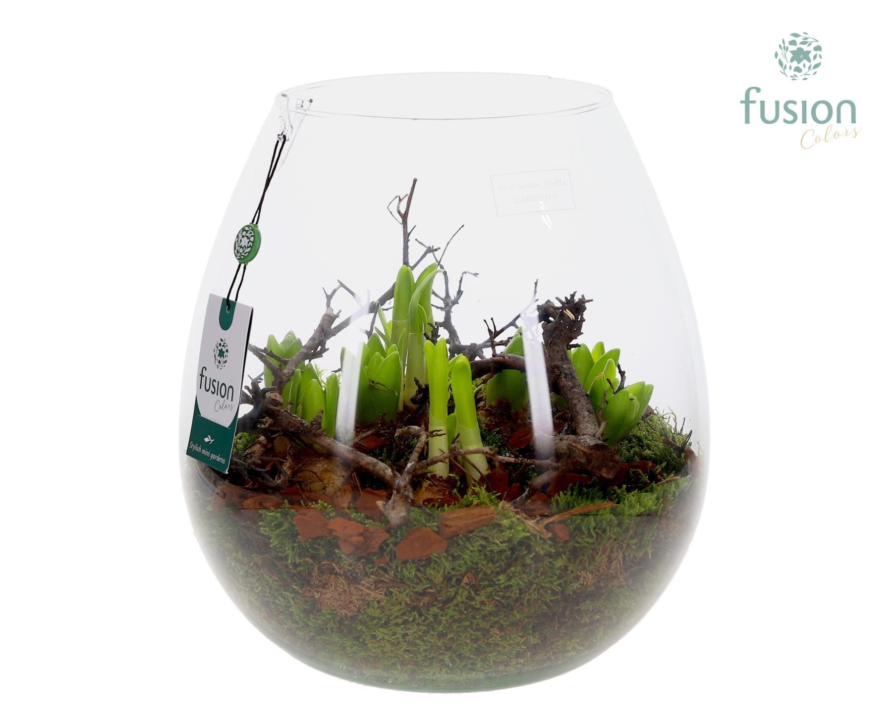 Green Bottle Abby XLarge met Bollenmix, D 29