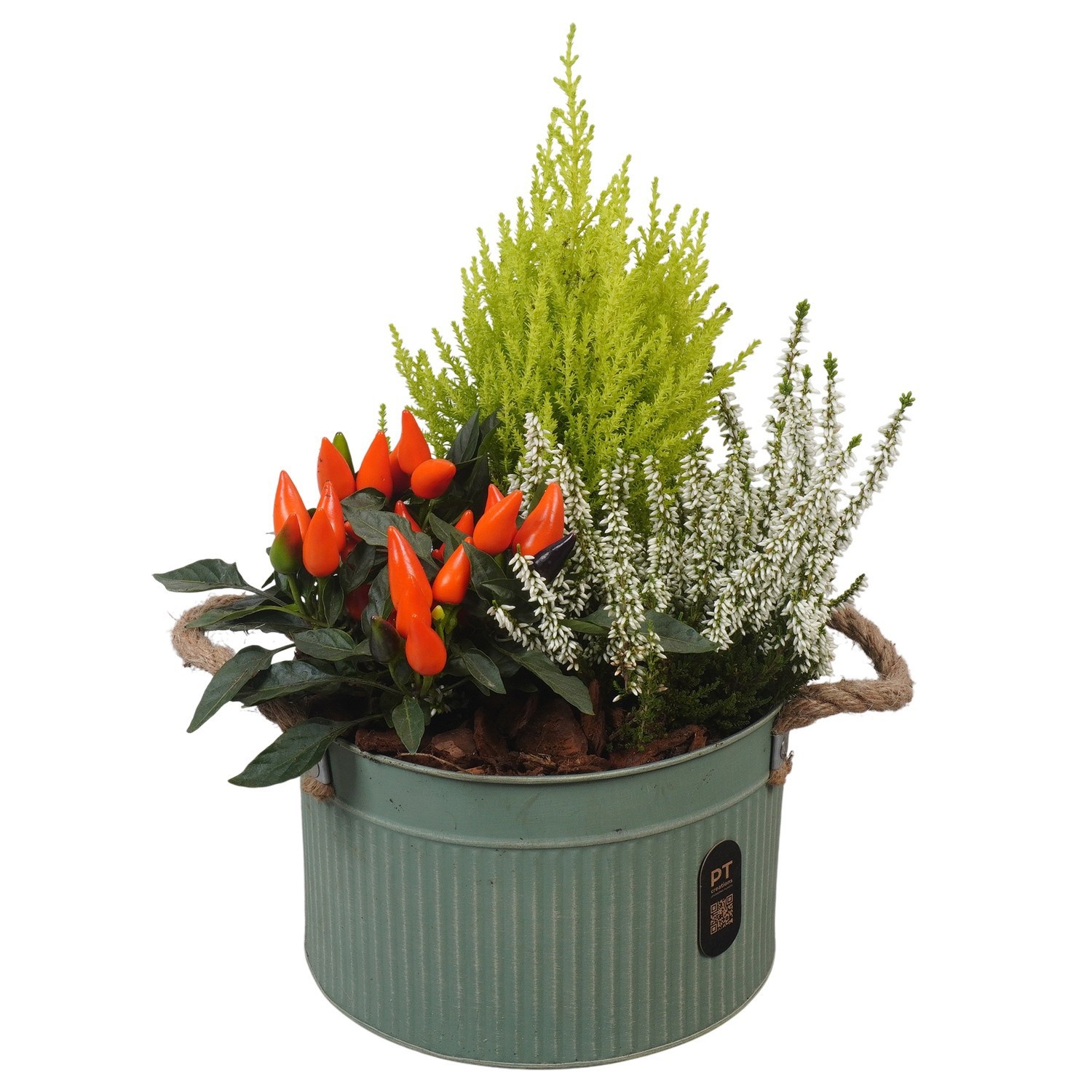 PTHO7614 Arrangement Autumn Outdoor in metalen pot, D 21