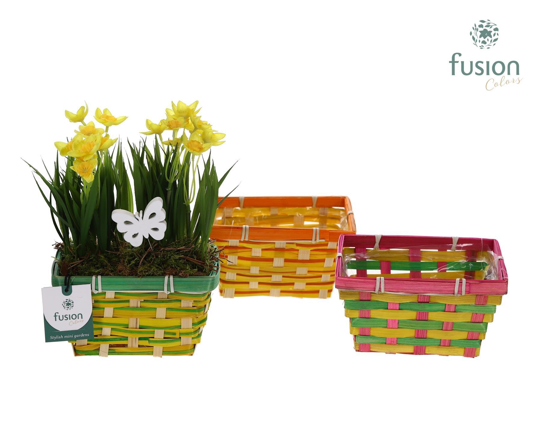 Mand met narcis en vlinderbijsteker, D 16