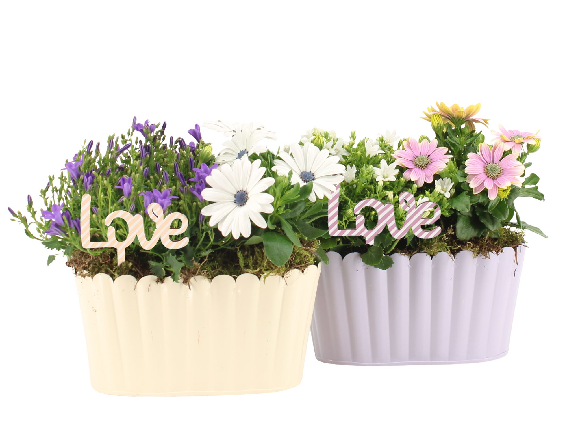 21744: Love outdoor arrangement, D 20