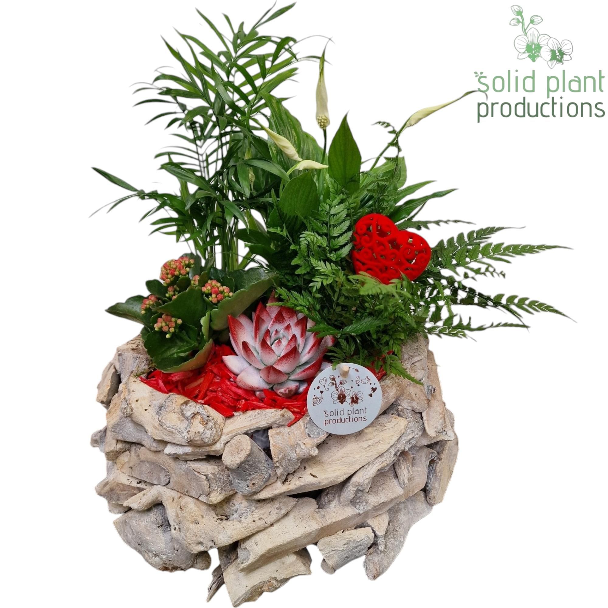 SCE013 Driftwood Round White Washed Red Love, D 31