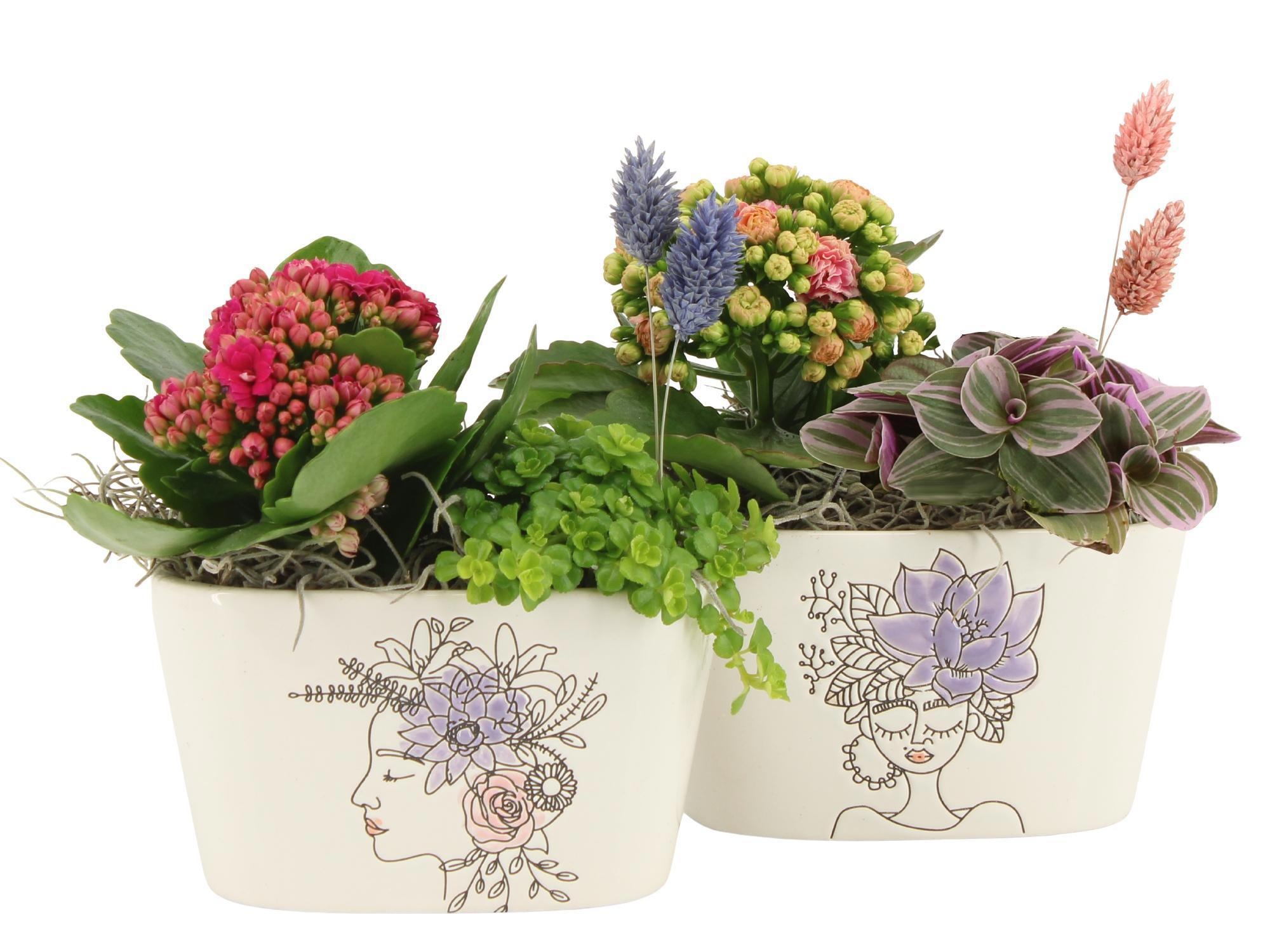 21886: Lovess arrangement, D 14