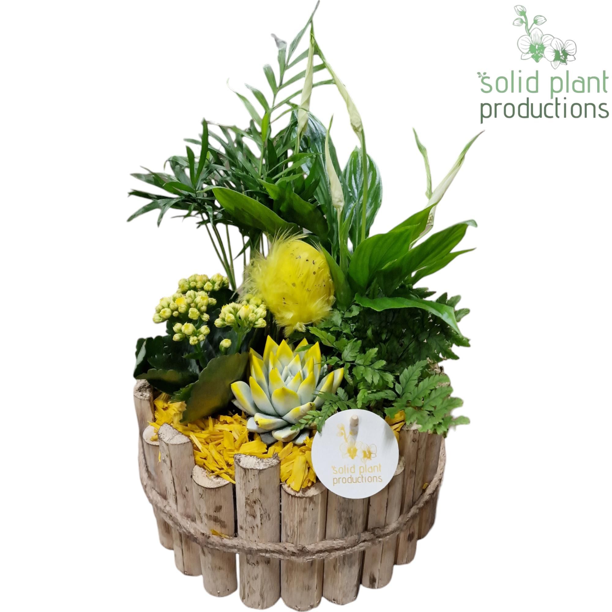 HPSC002 Milano Large Yellow Easter, D 23