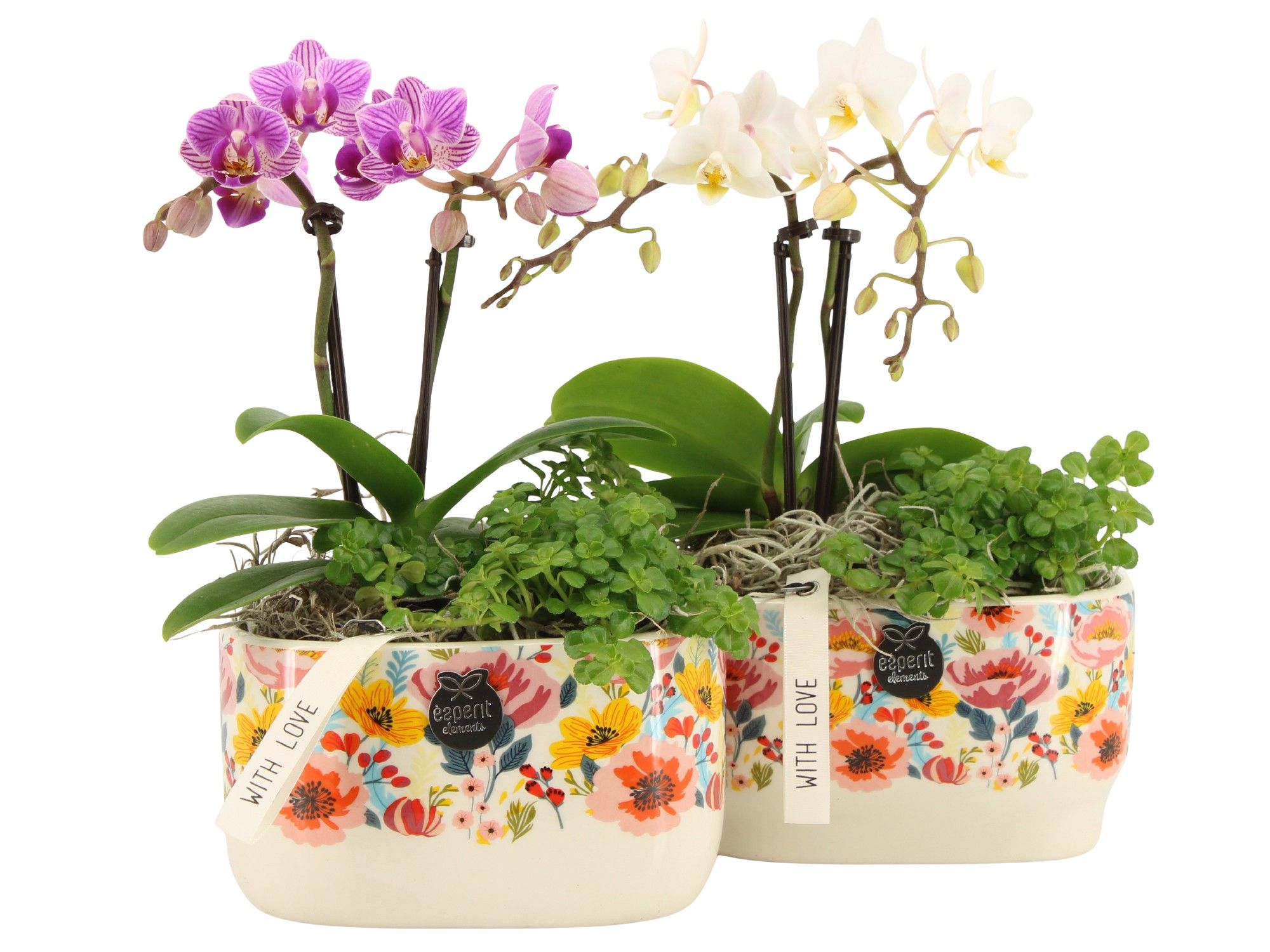 21822: Lovess arrangement, D 14