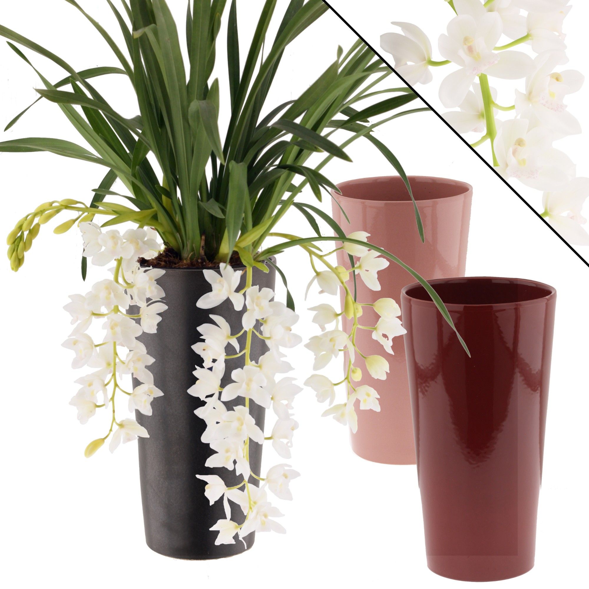 Ice Cascade 3-4 tak incl. keramiek mix kleuren, D 14