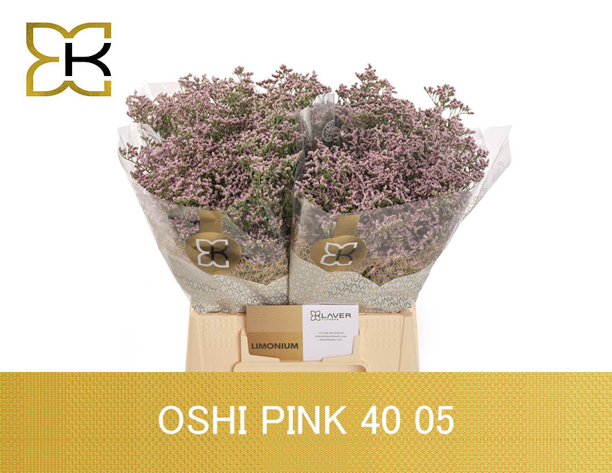 Лимониум Сафора Оши Пинк 40, шт.
