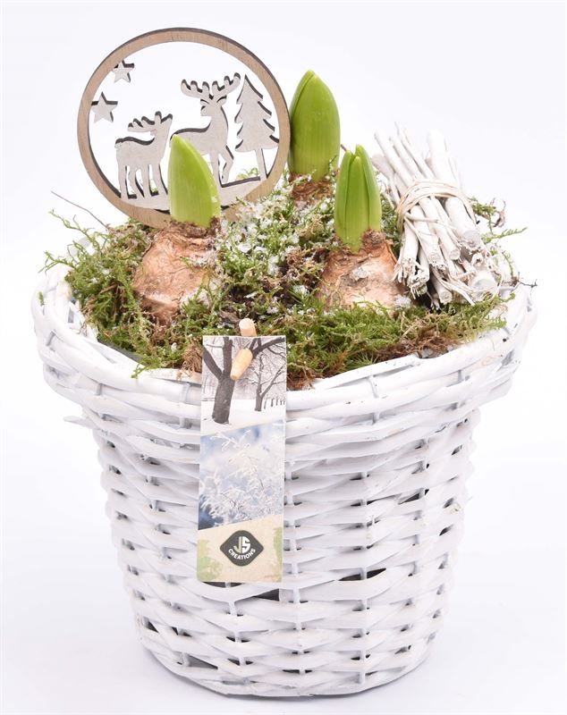 Wilg bloempot wit 18cm, D 18 cm Wilg bloempot wit 18cm, D 18 cm