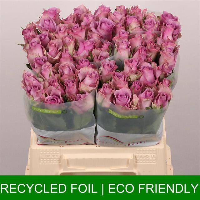 Роза од. Найтингейл! 40, шт.