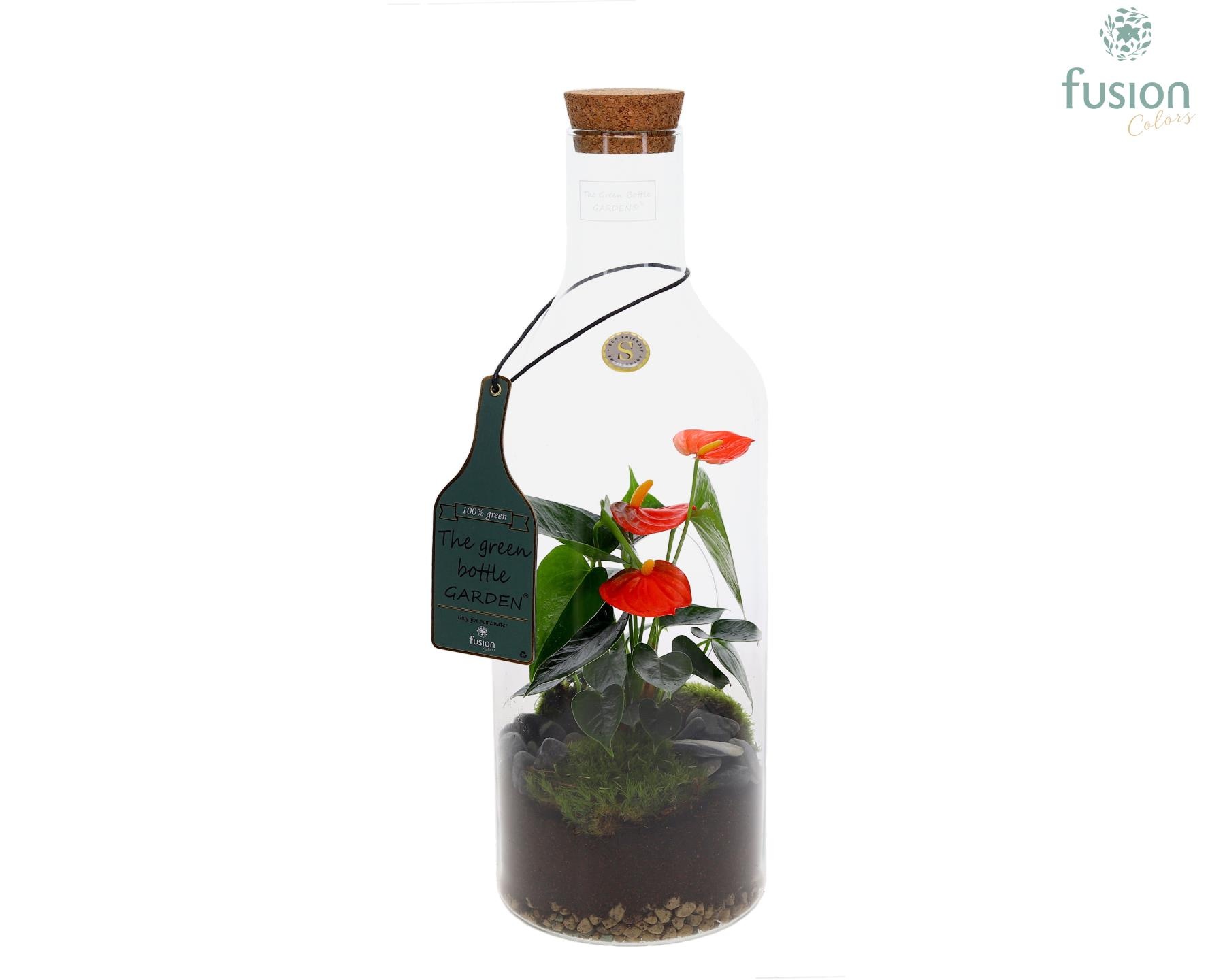 Green Bottle Fles Medium met Anthurium, D 15
