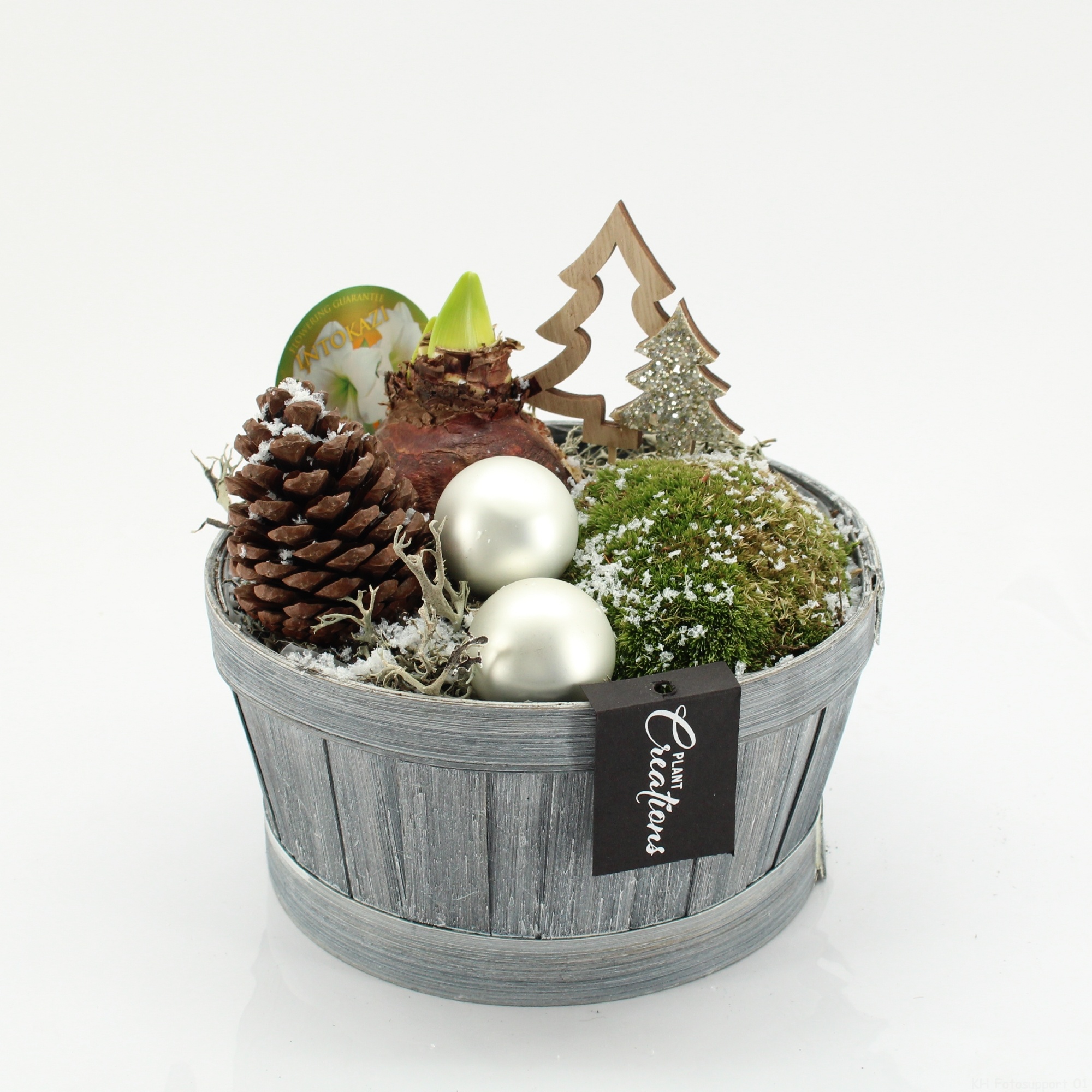 HICR-2532W Kerst Amaryllis, D 19 cm