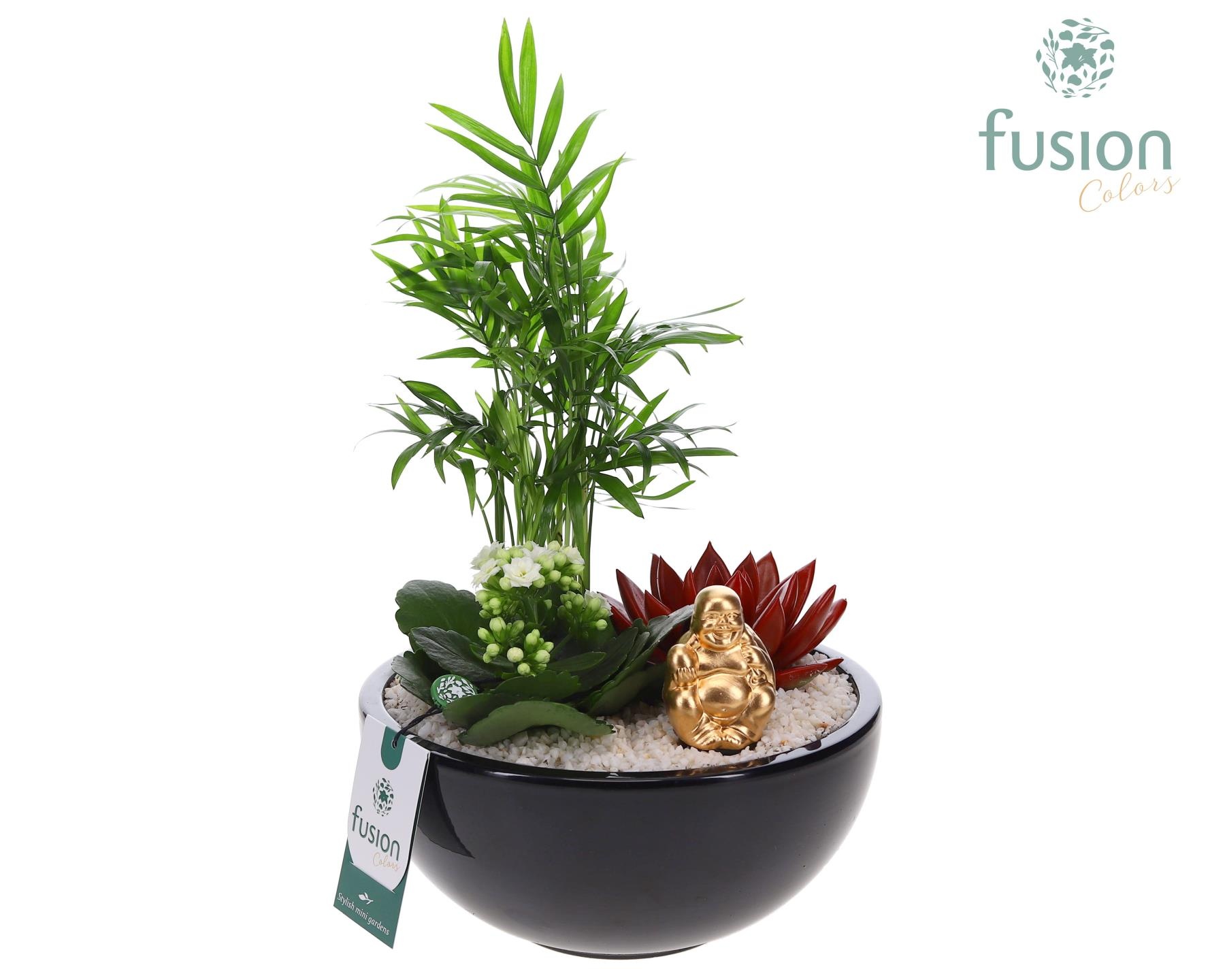 Keramiek moonschaal met Arrangement, D 20