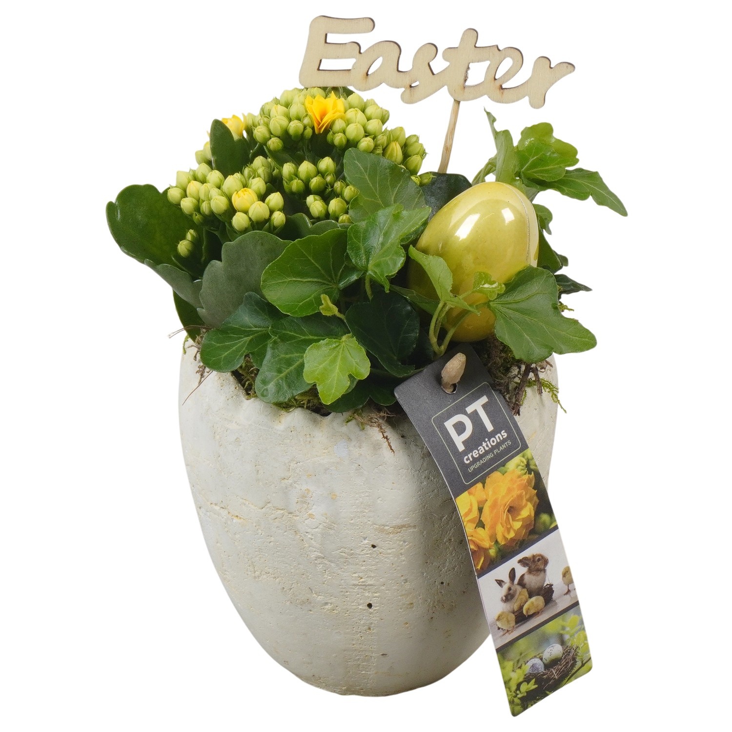 PTPB6595 Arrangement Easter in terracotta ei, D 11