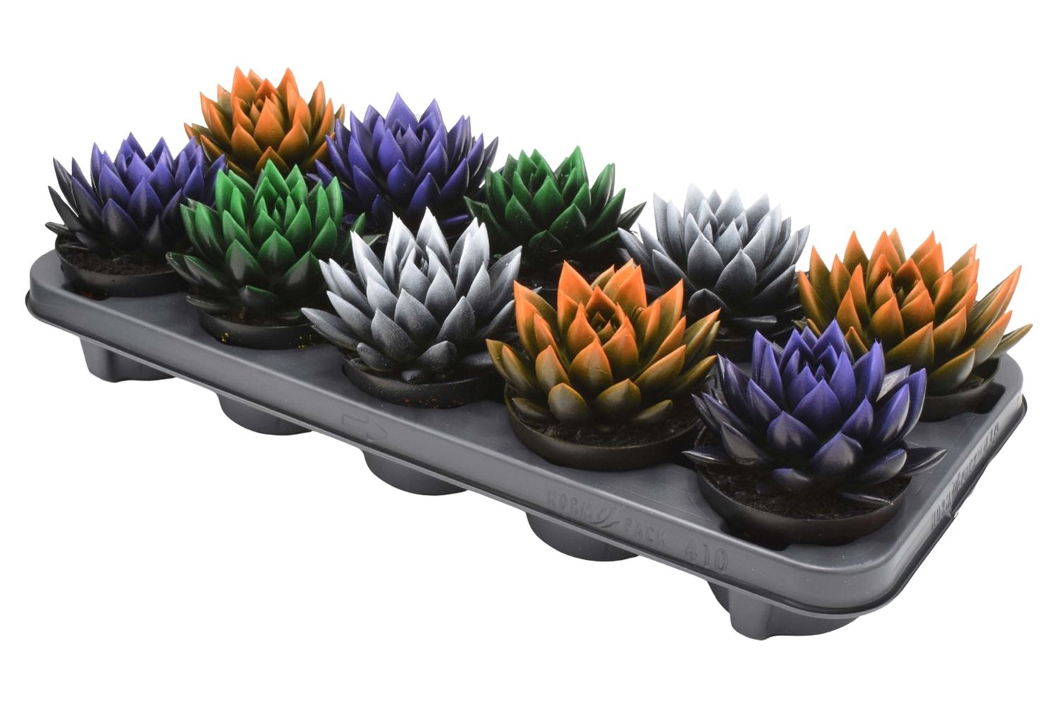 Miranda bicoloured Halloween mix, D 10,5 cm