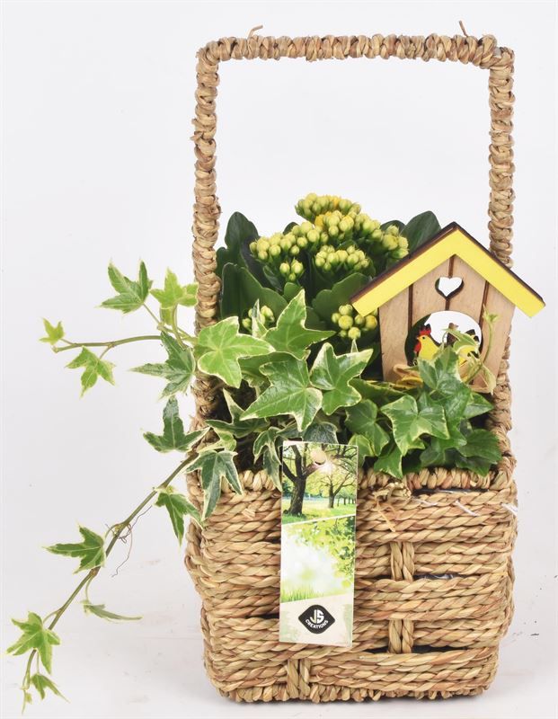 Touw mand vierkant 12,5x12,5cm, D 12