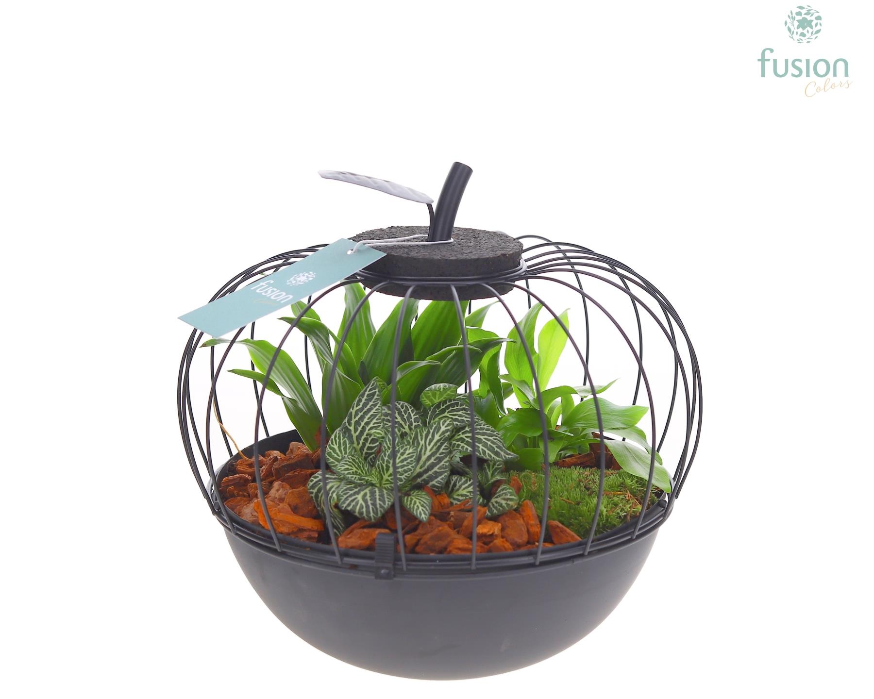 Metaal appel zwart Large met arrangement, D 23