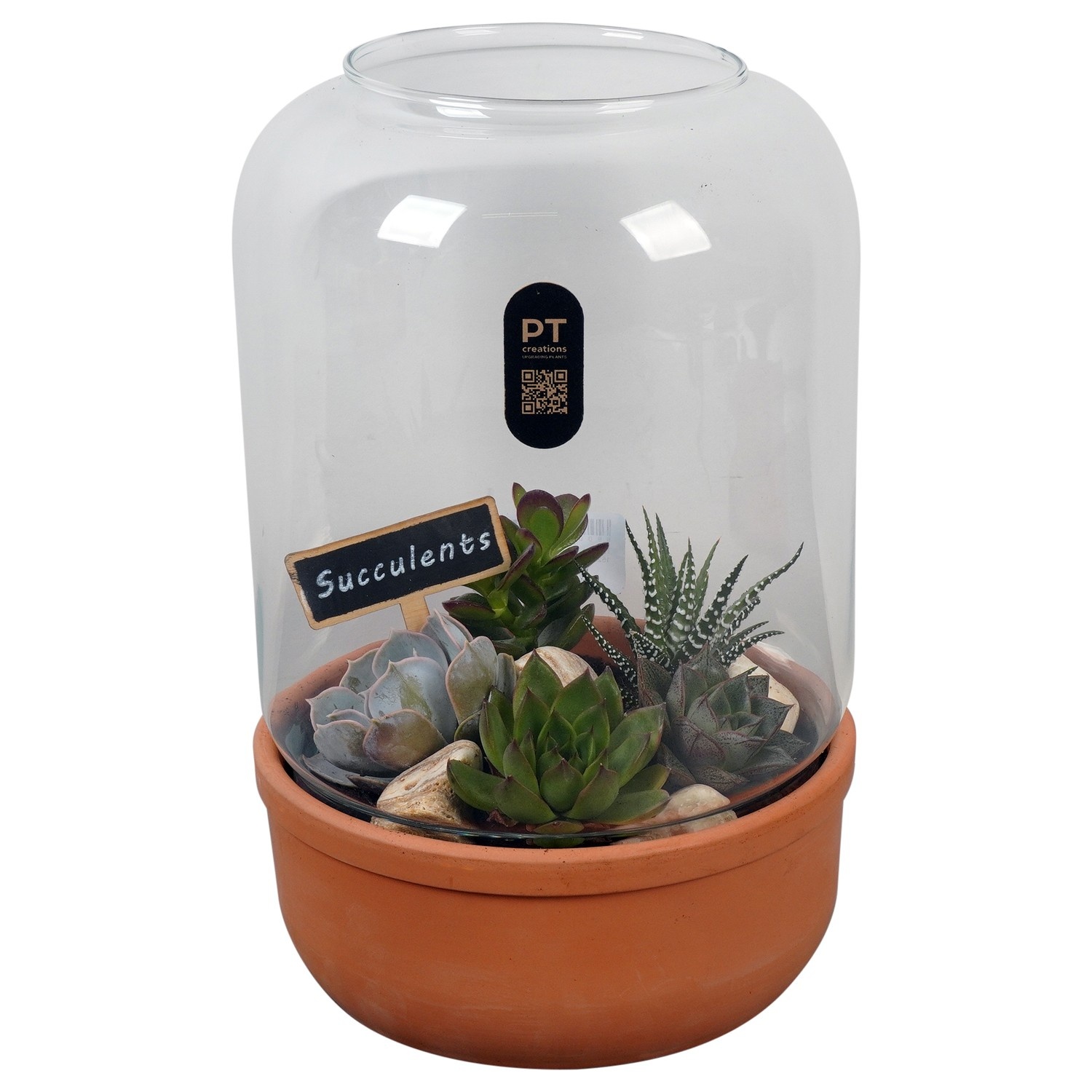 PTSU8515 Arrangement Succulenten in glazen terracotta pot, D 20