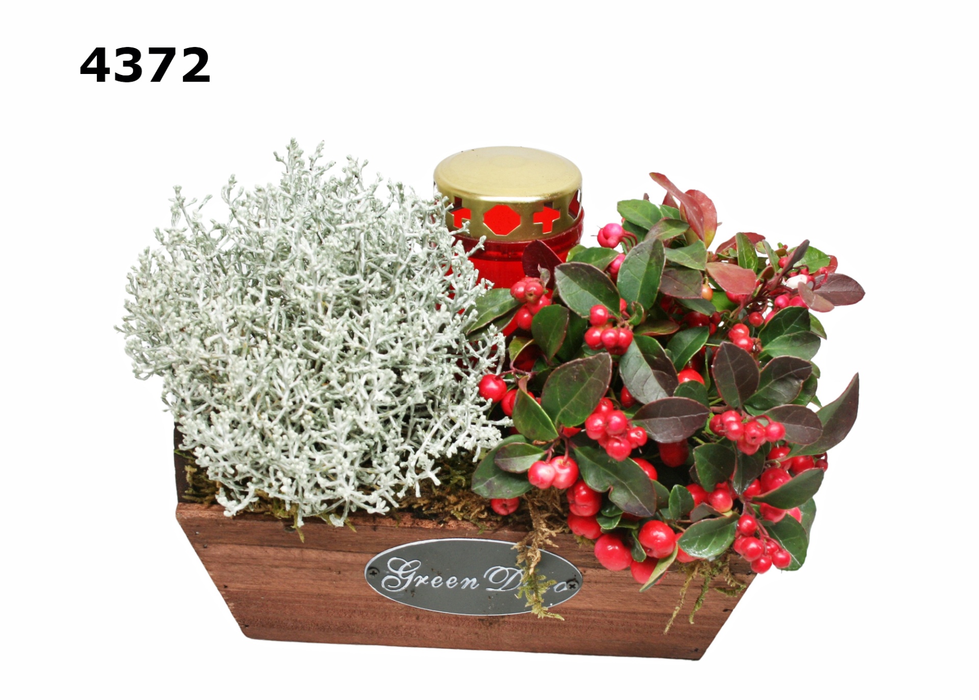 Graf kistje M, D 24 cm