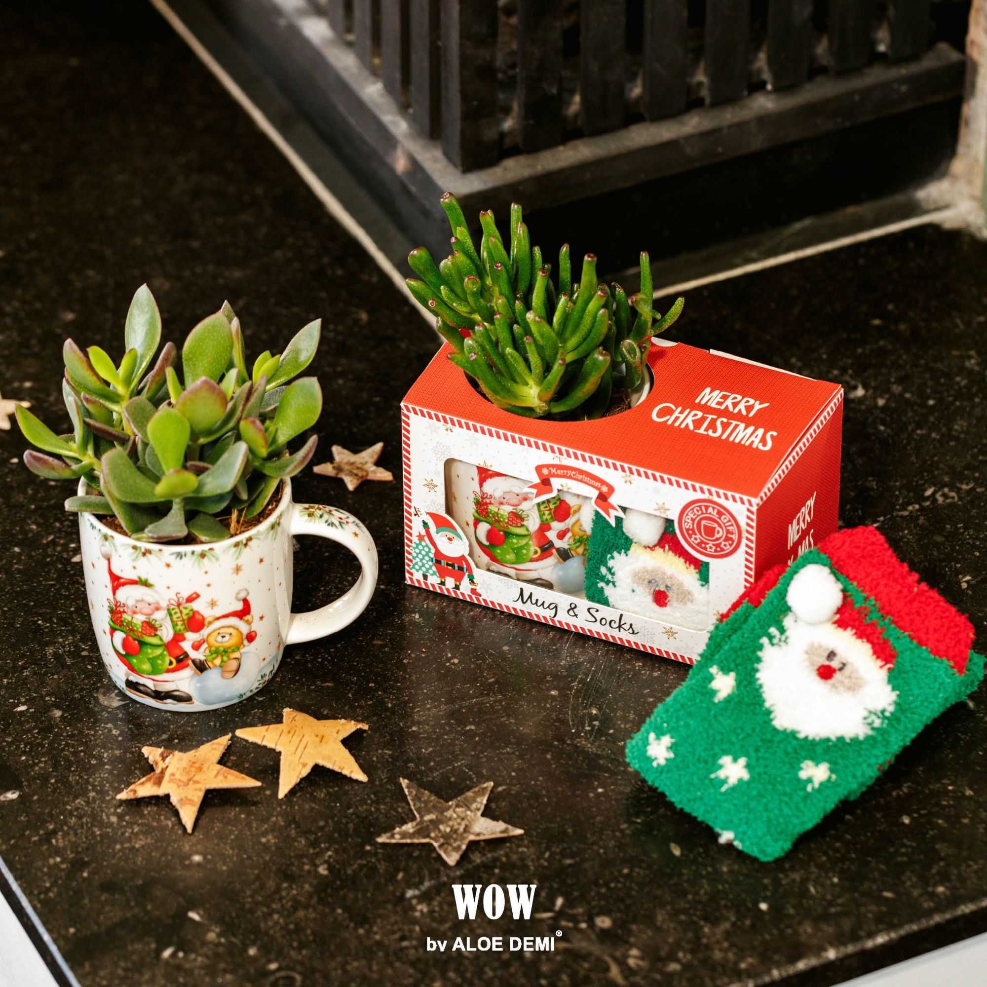 WOW Succulent, X-Mas mug and sock, D 18 cm