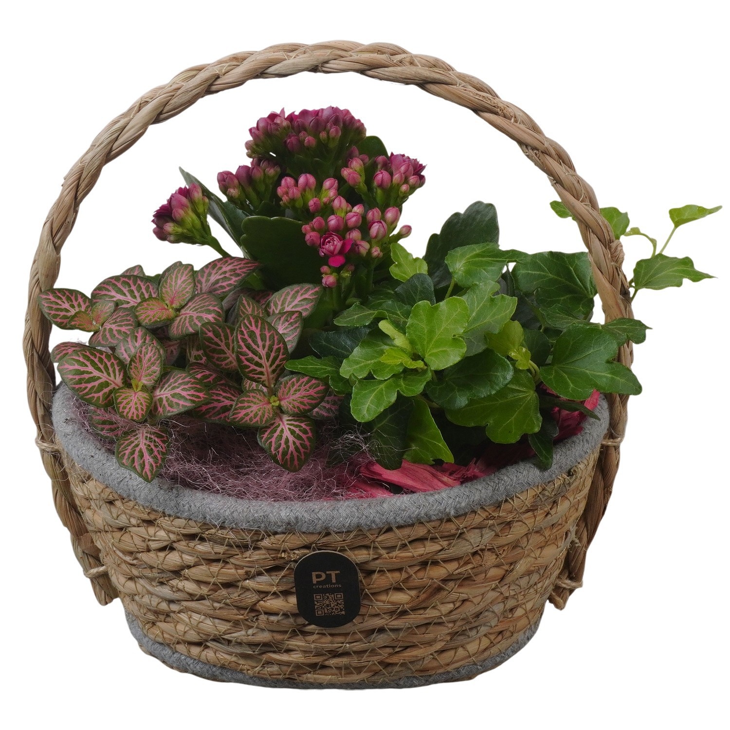 PTIB5242 Arrangement Indoor in rieten hengselmand, D 17