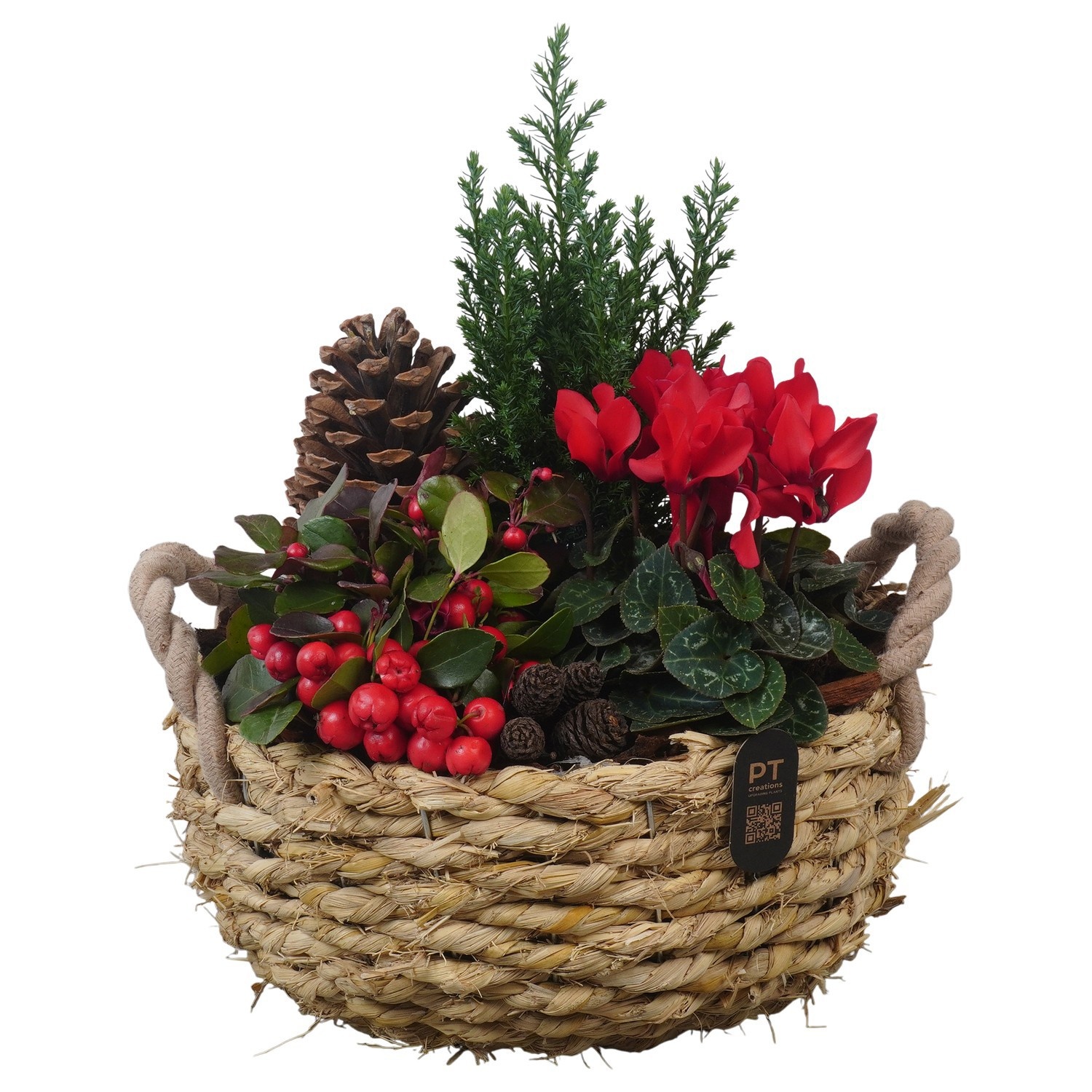PTWO2836 Arrangement Winter Outdoor in rieten mand, D 26