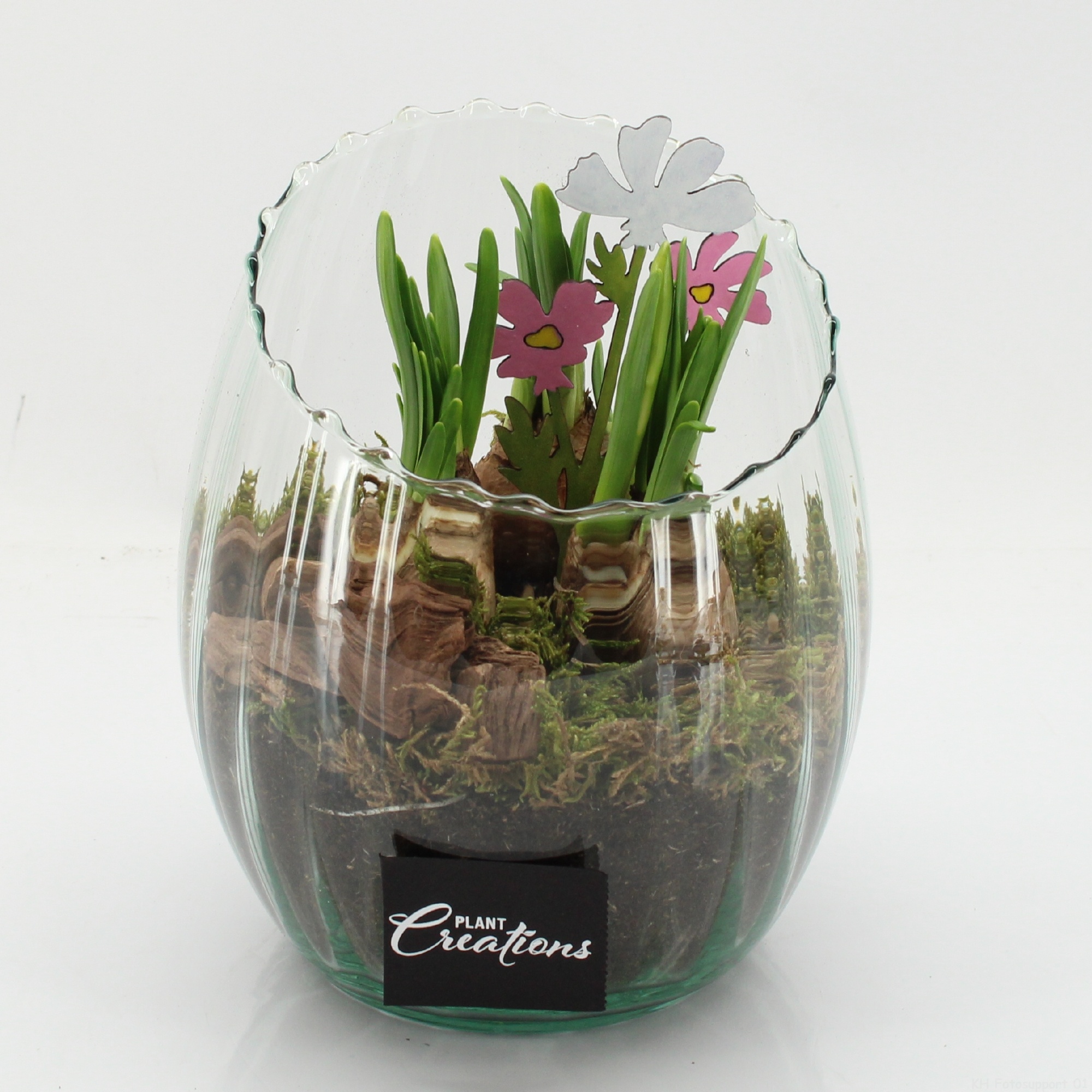 BLCR-2638 Bulbs creations, D 16