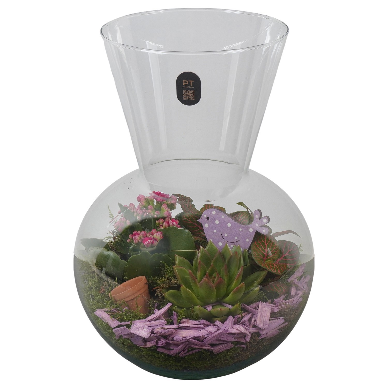 PTIG2630 Arrangement Indoor in glazen vaas, D 21