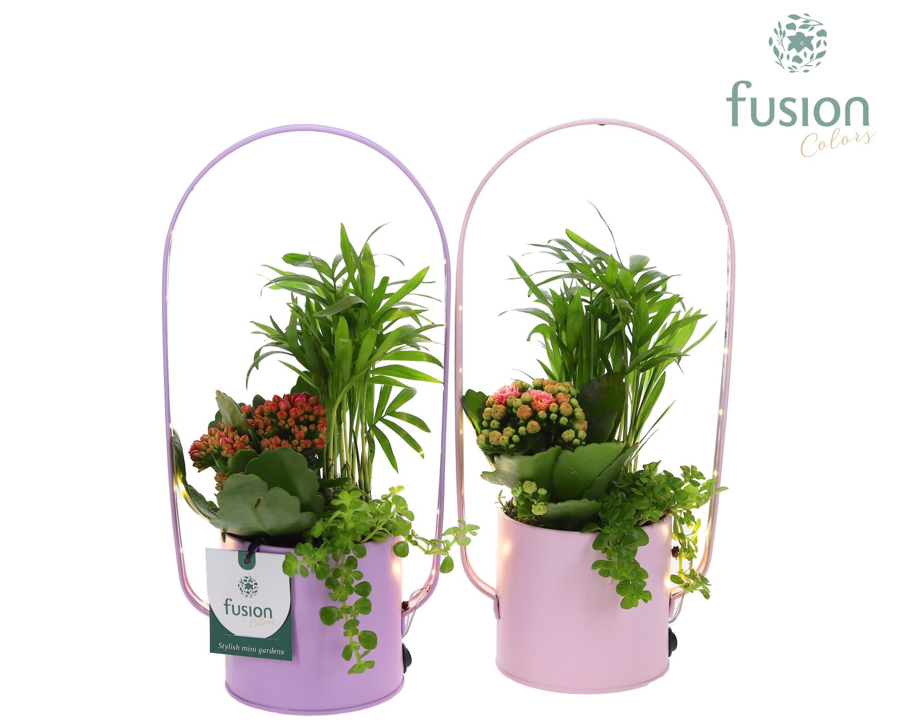 LED planter zink boog met Arrangement, D 9