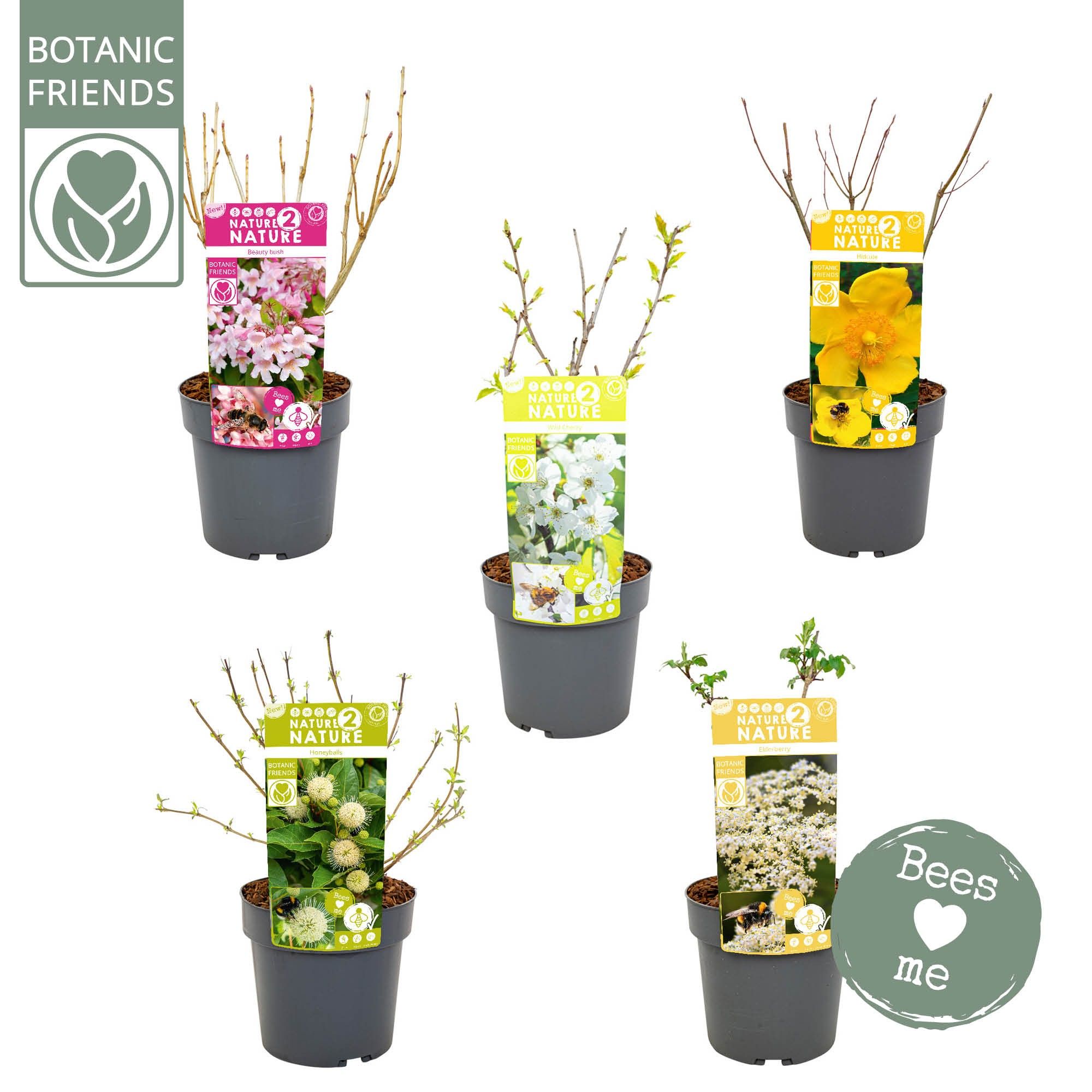 NATURE 2 NATURE - Bee Mix, D 19