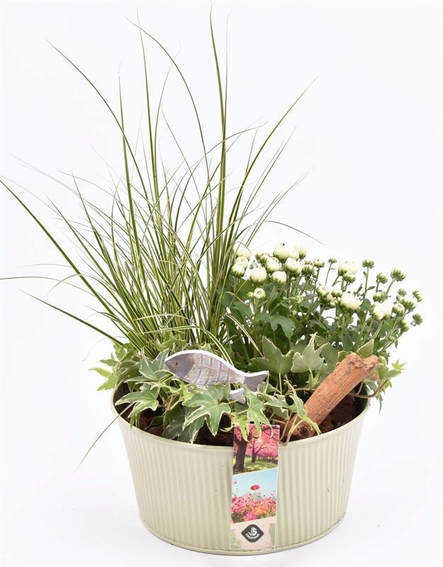 Zink schaal ribbel khaki 18cm, D 18