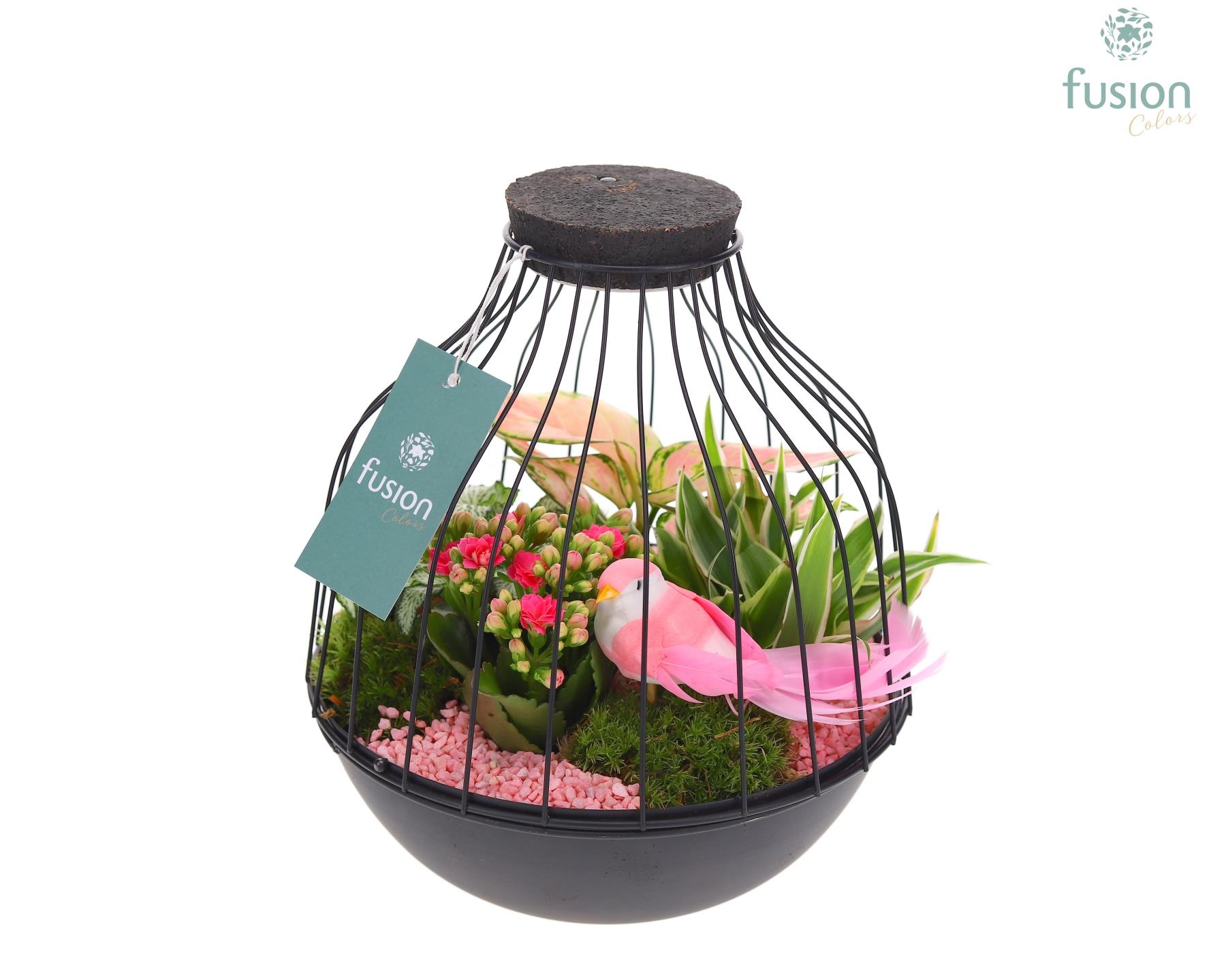 Vogelkooi metaal zwart Large LED met arrangement, D 21