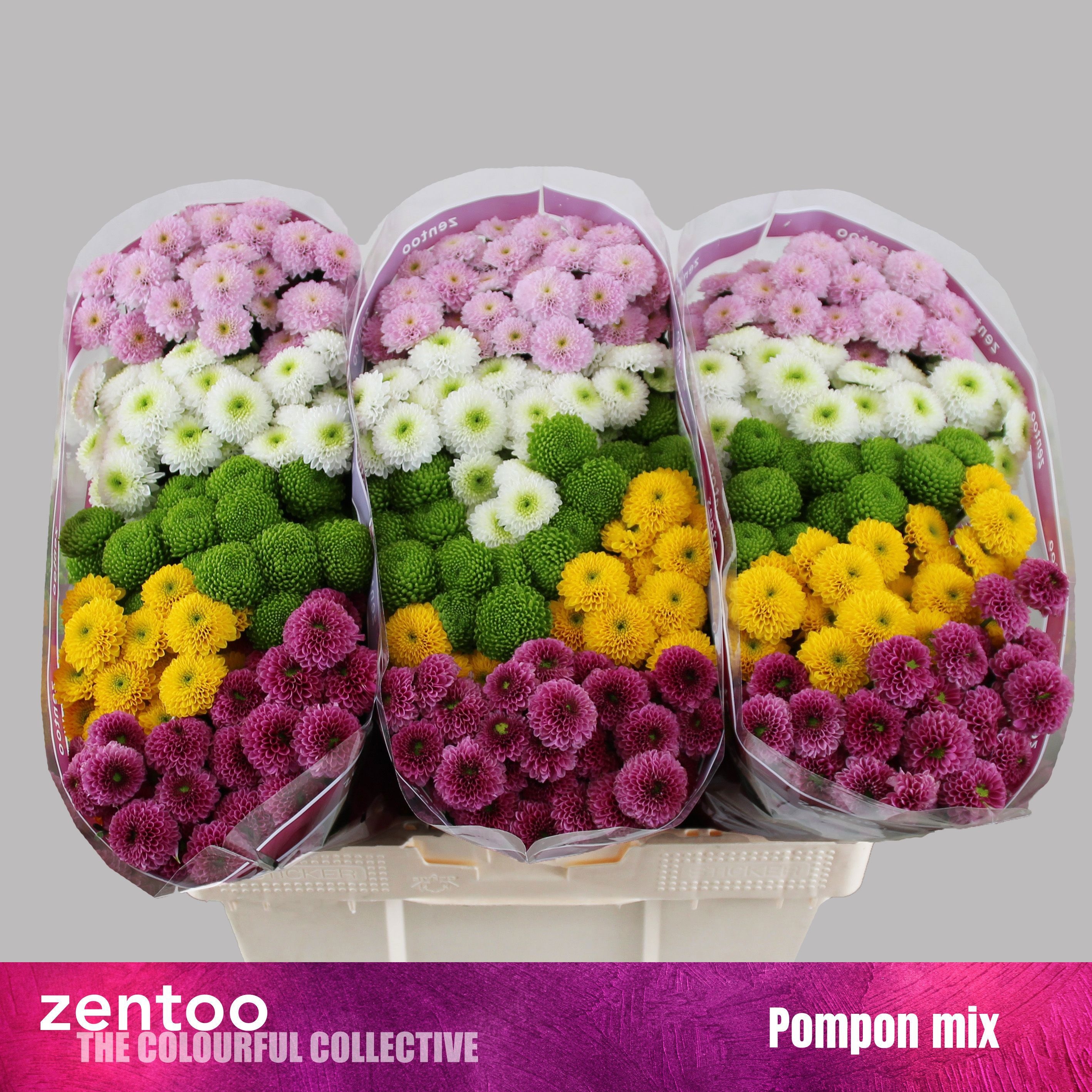 Сантини Помпон Микс в пачке, шт.