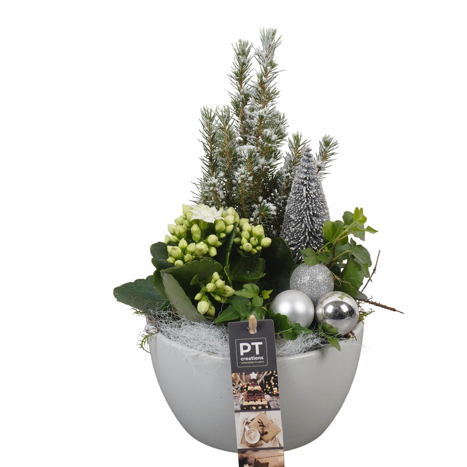 PTCHW4303 Arrangement Christmas White in keramiek schaal, D 15 cm