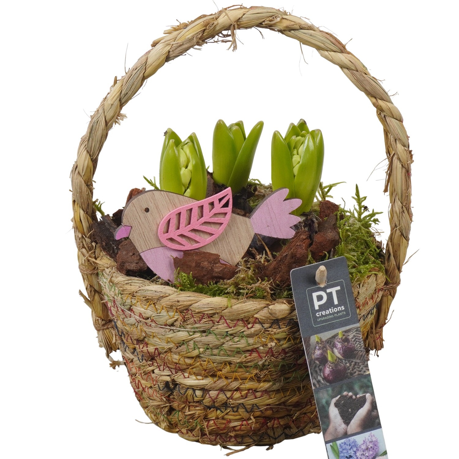 PTHC9153 Arrangement Hyacints in riet mand, D 15