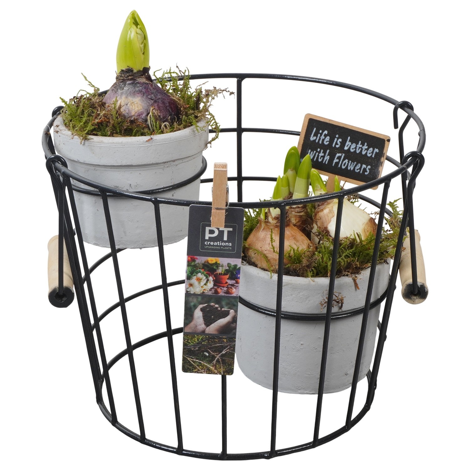 PTBM3866 Arrangement Flower Bulbs Mix in terracotta pot met metaal, D 23