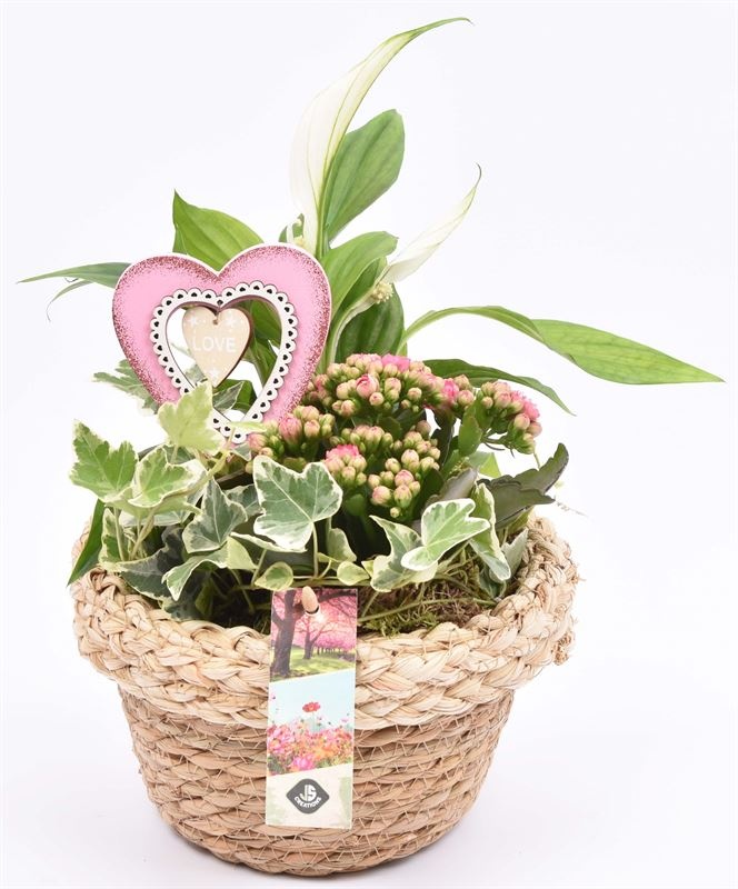 Natuur mand 18cm, D 18