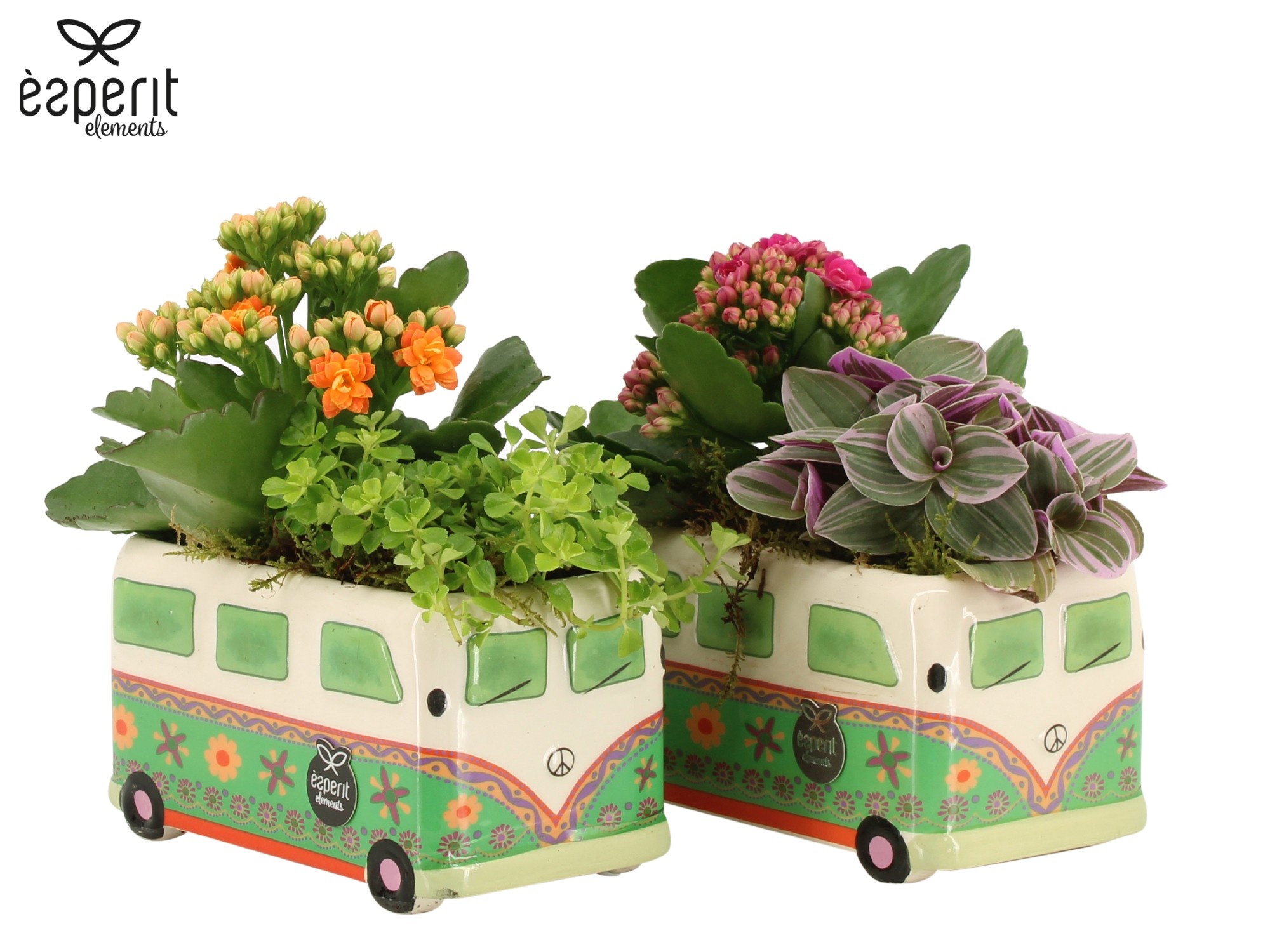 31803: Reinvention arrangement, D 15