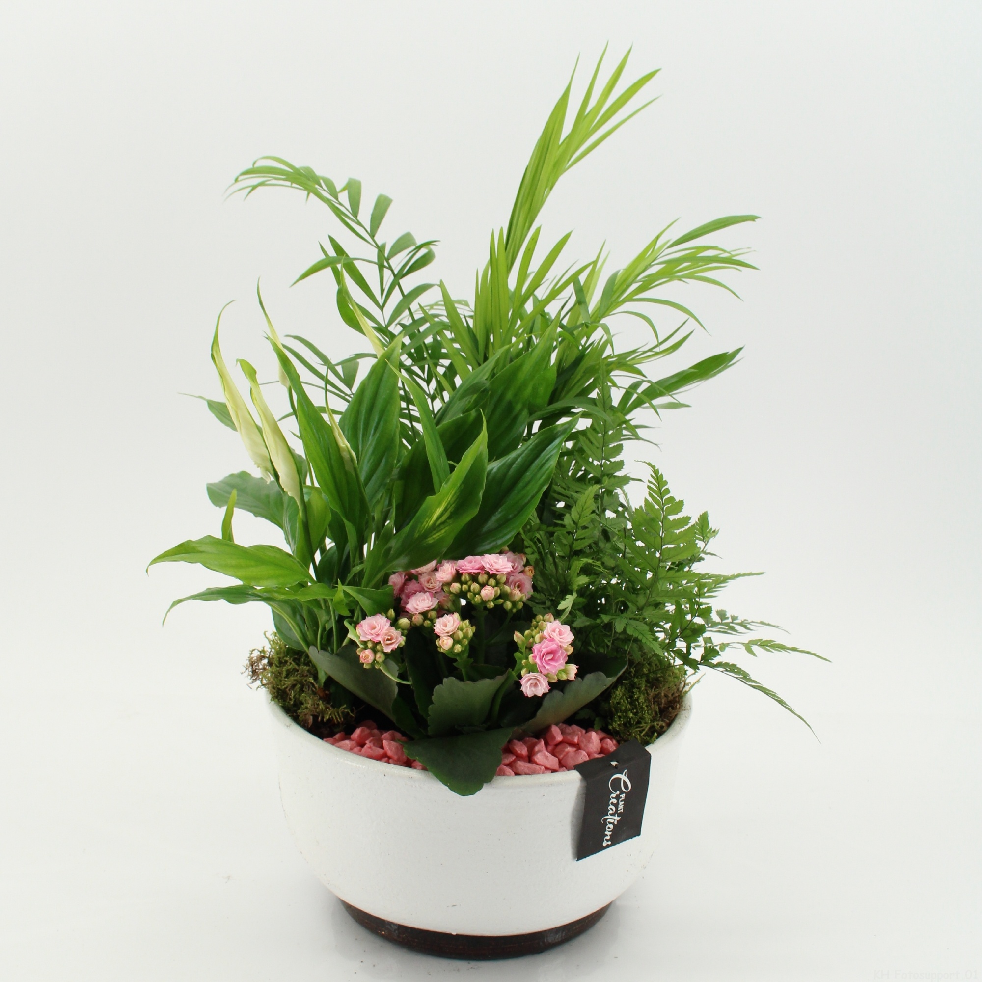 ESCR-2640RZ Essentials, D 22