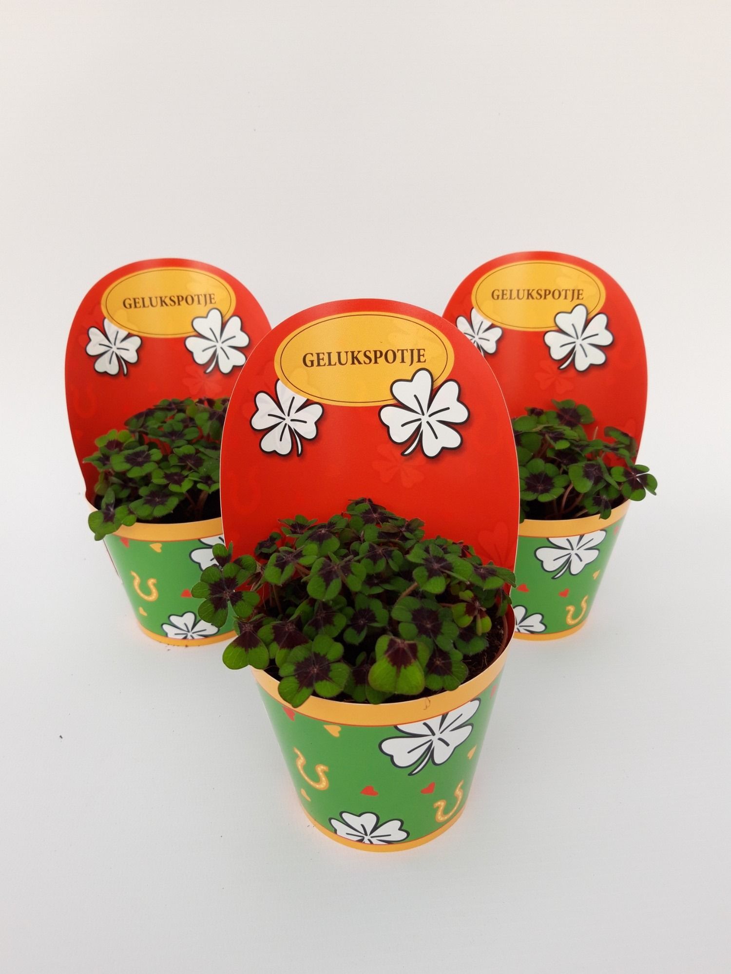 Gelukspotje Nederland, D 9 cm