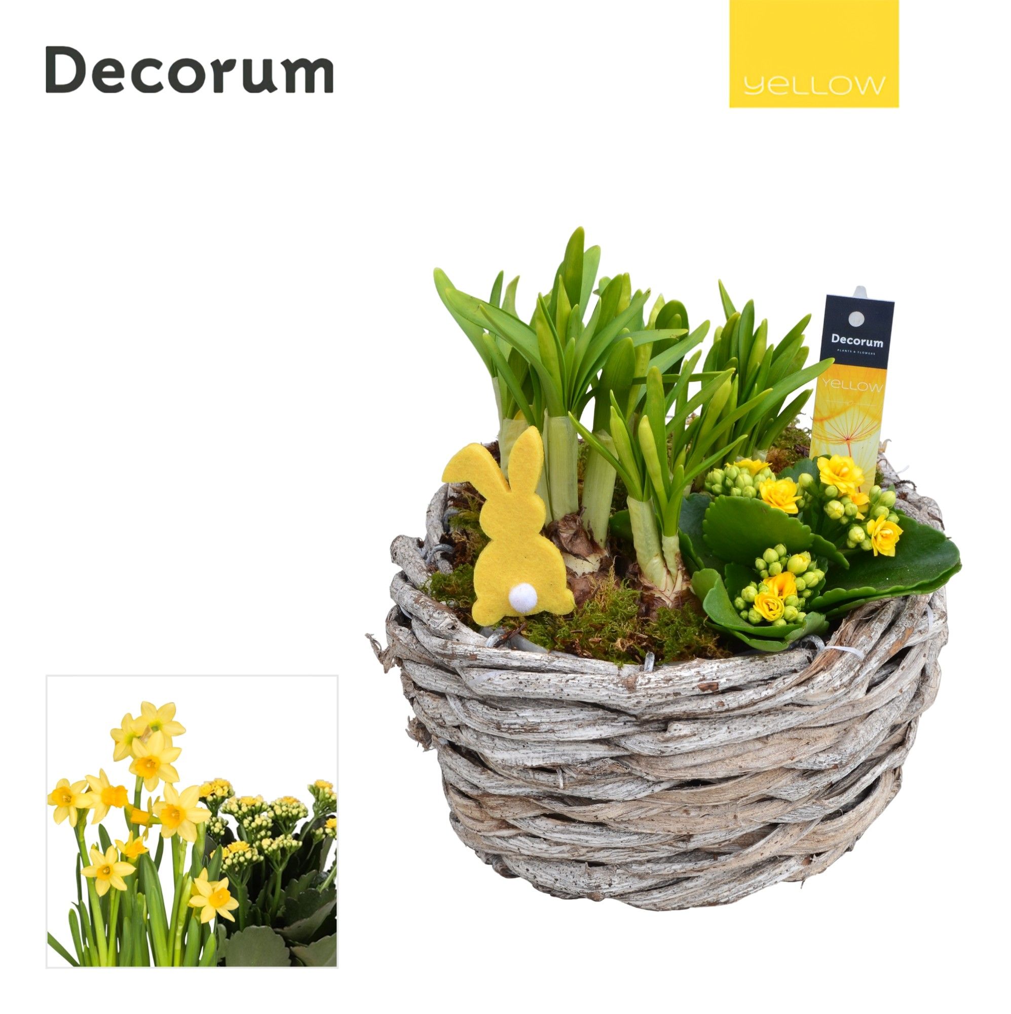 Calandiva & Narcis Gevlochten Schaal HL22785 [YELLOW], D 19