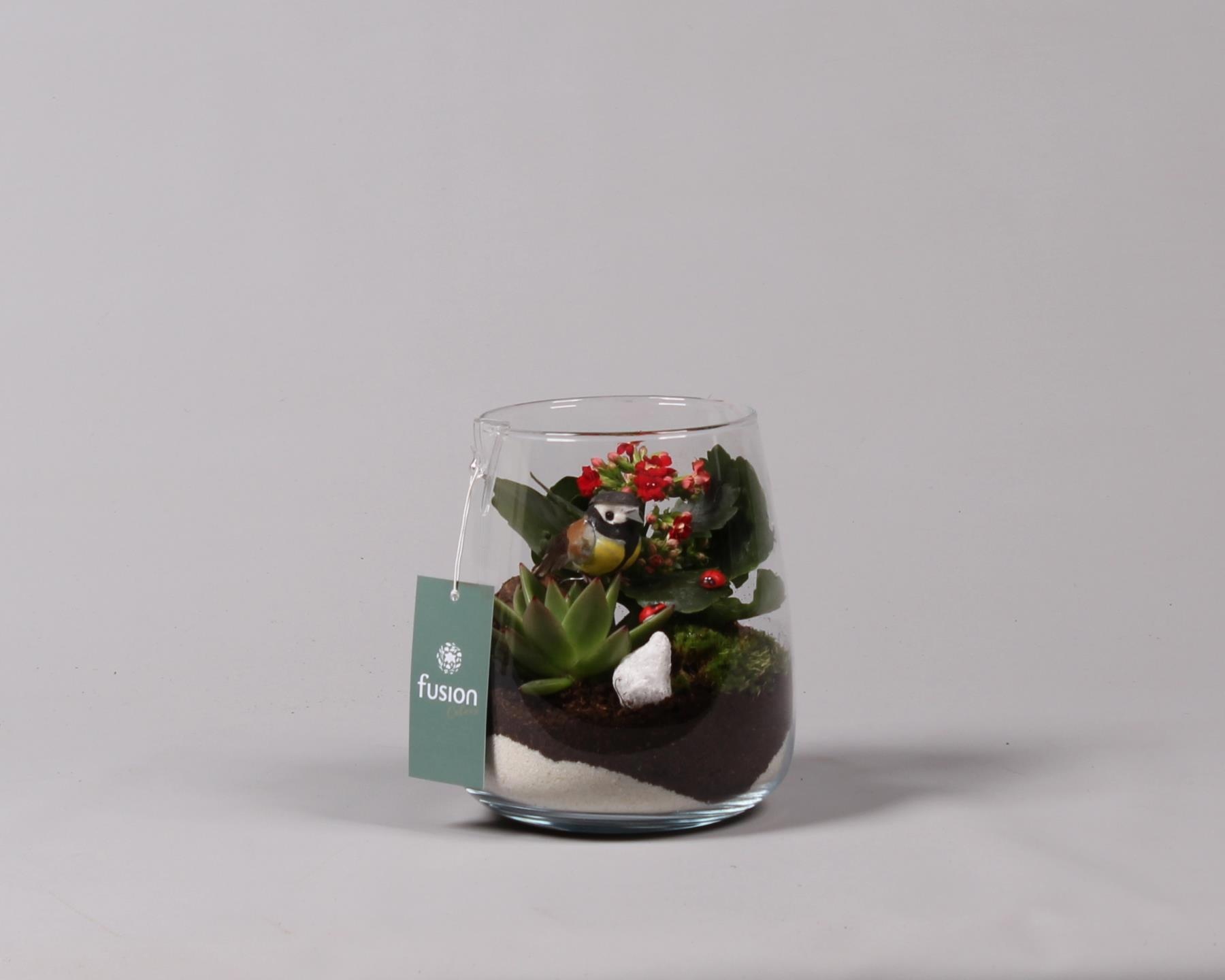 Glas Alzada met Arrangement, D 15