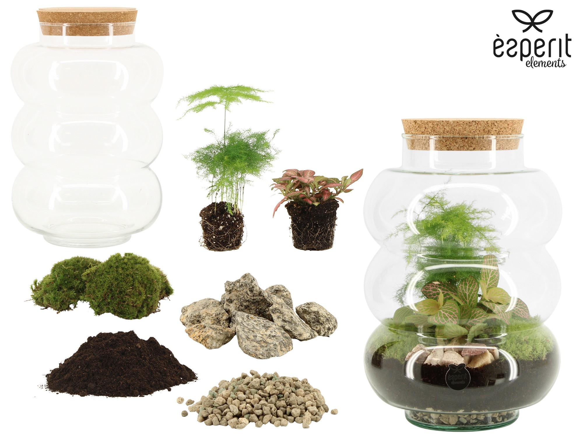 90859: DIY Terrarium arrangement, D 17