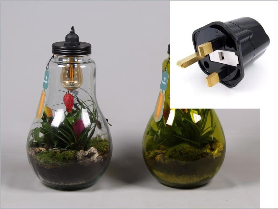 Glas Terrarium helder XXL Bromelia met verlichting en Engelse stekker, D 24